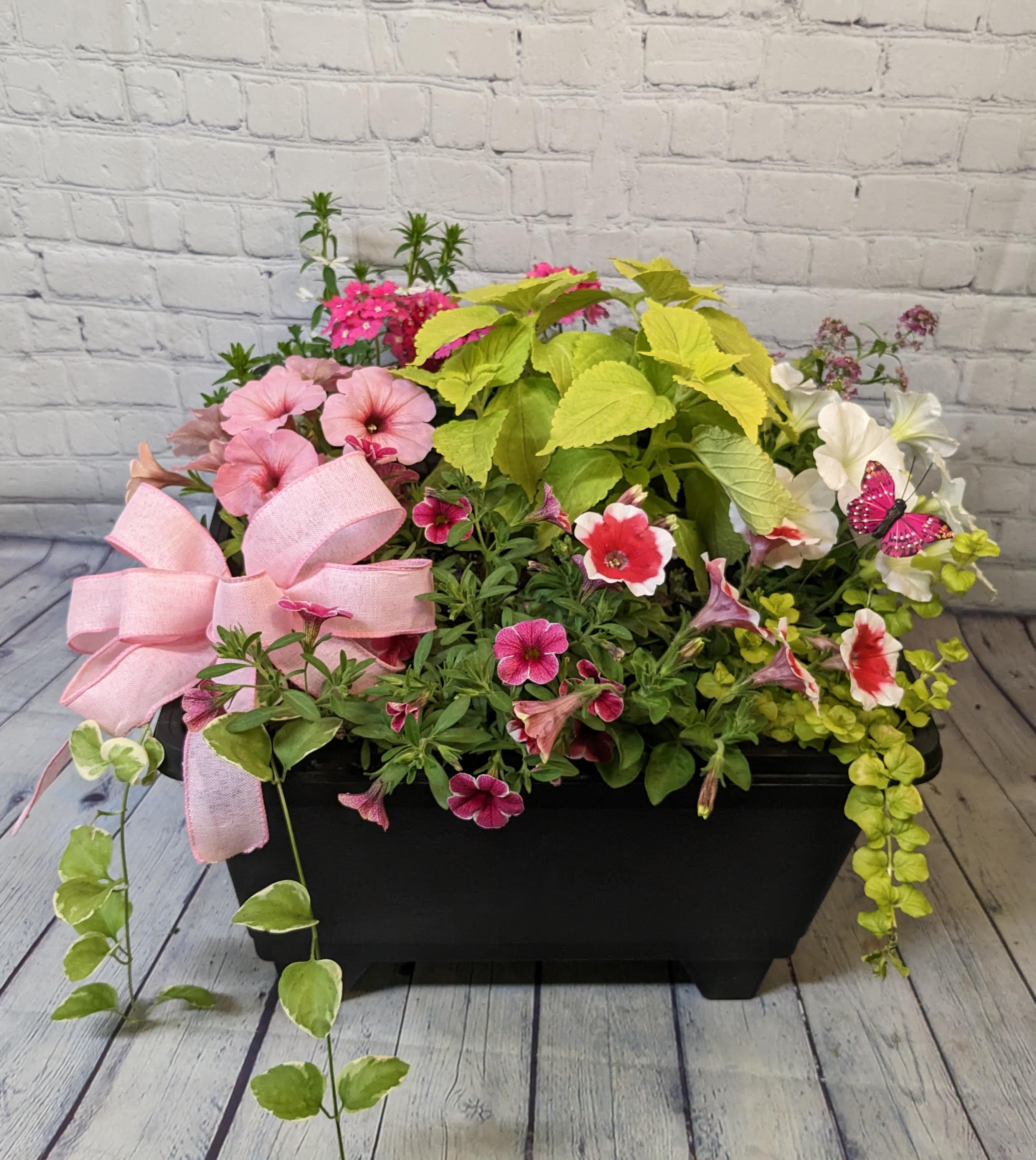 Grand Mixed Annual Porch Planter - This grand mixed annual planter will bring joy and color all through the summer months. Please note, all plants &amp; colors are subject to availability. Standard, deluxe, and premium photos showcase varieties and sample color schemes available, each planter is of equal value. Special color requests may be made in the comments section of your order form. 