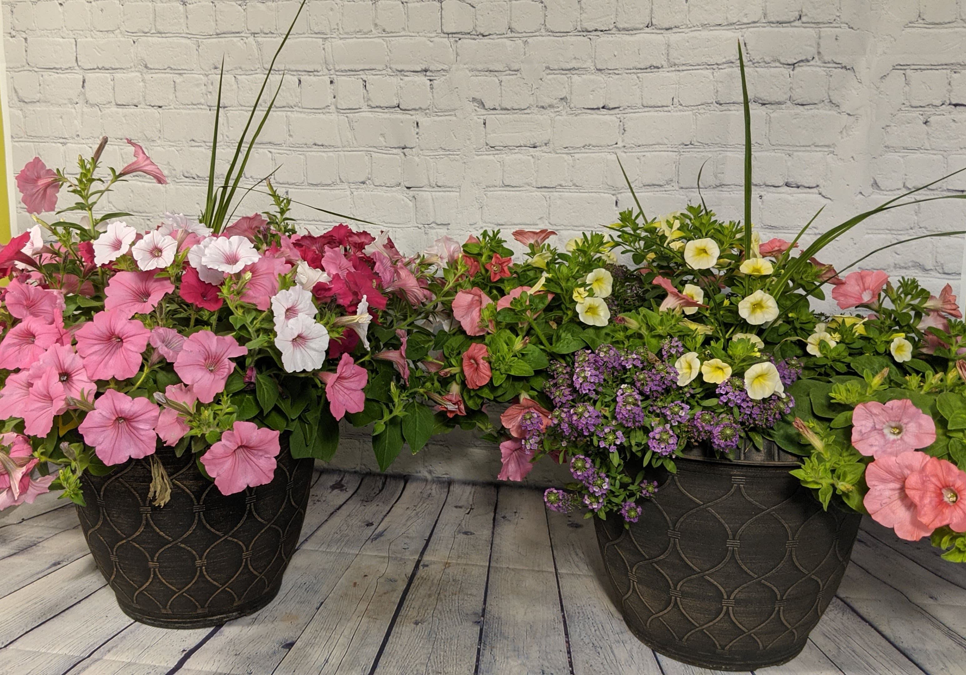 Two large potted flower arrangements with pink and white blooms