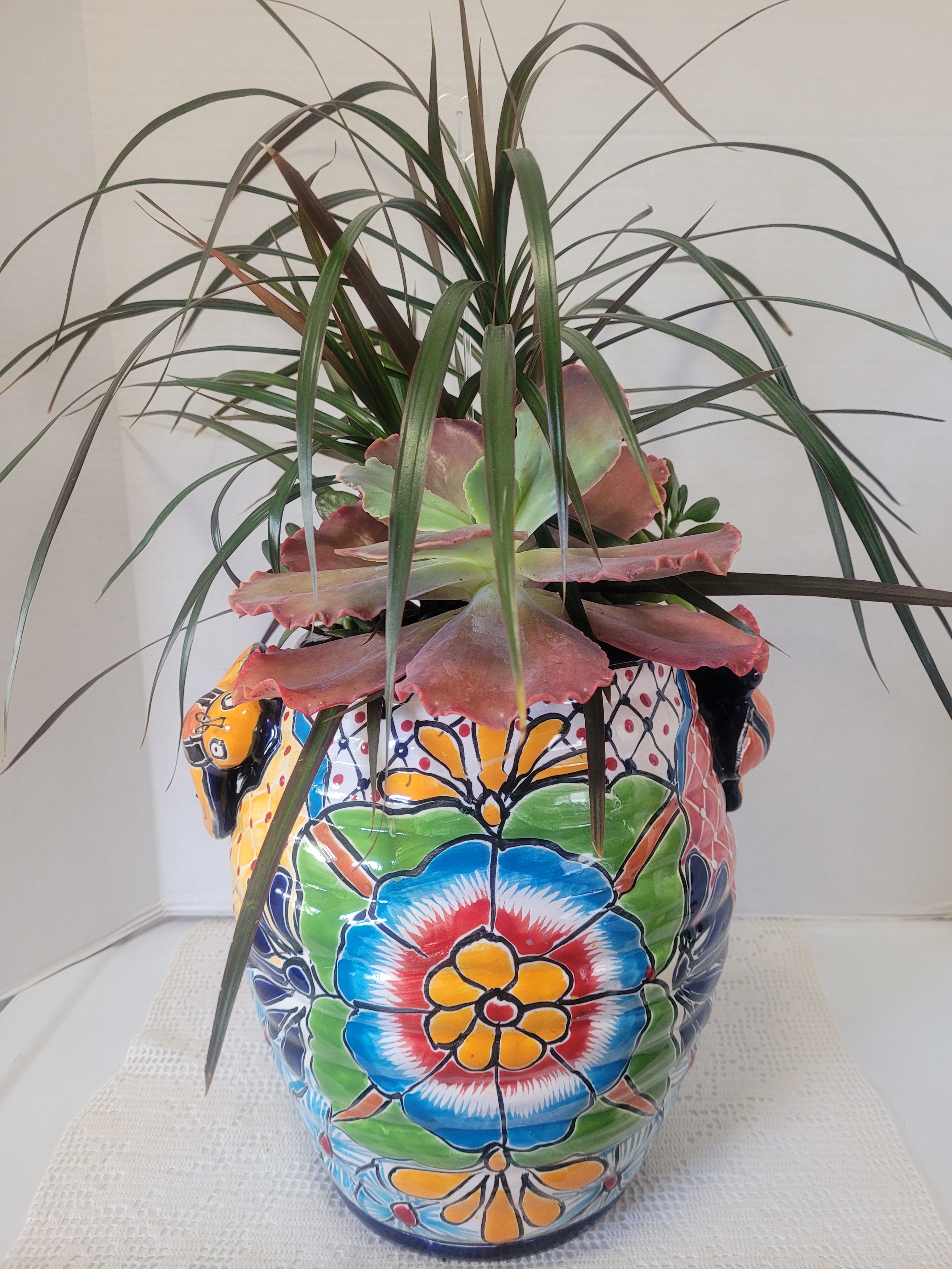 Large Talavera with Bee Handles - The star of this arrangement is really the very large Talavera container filled to the brim with plants. A wonderful gift for anyone. 