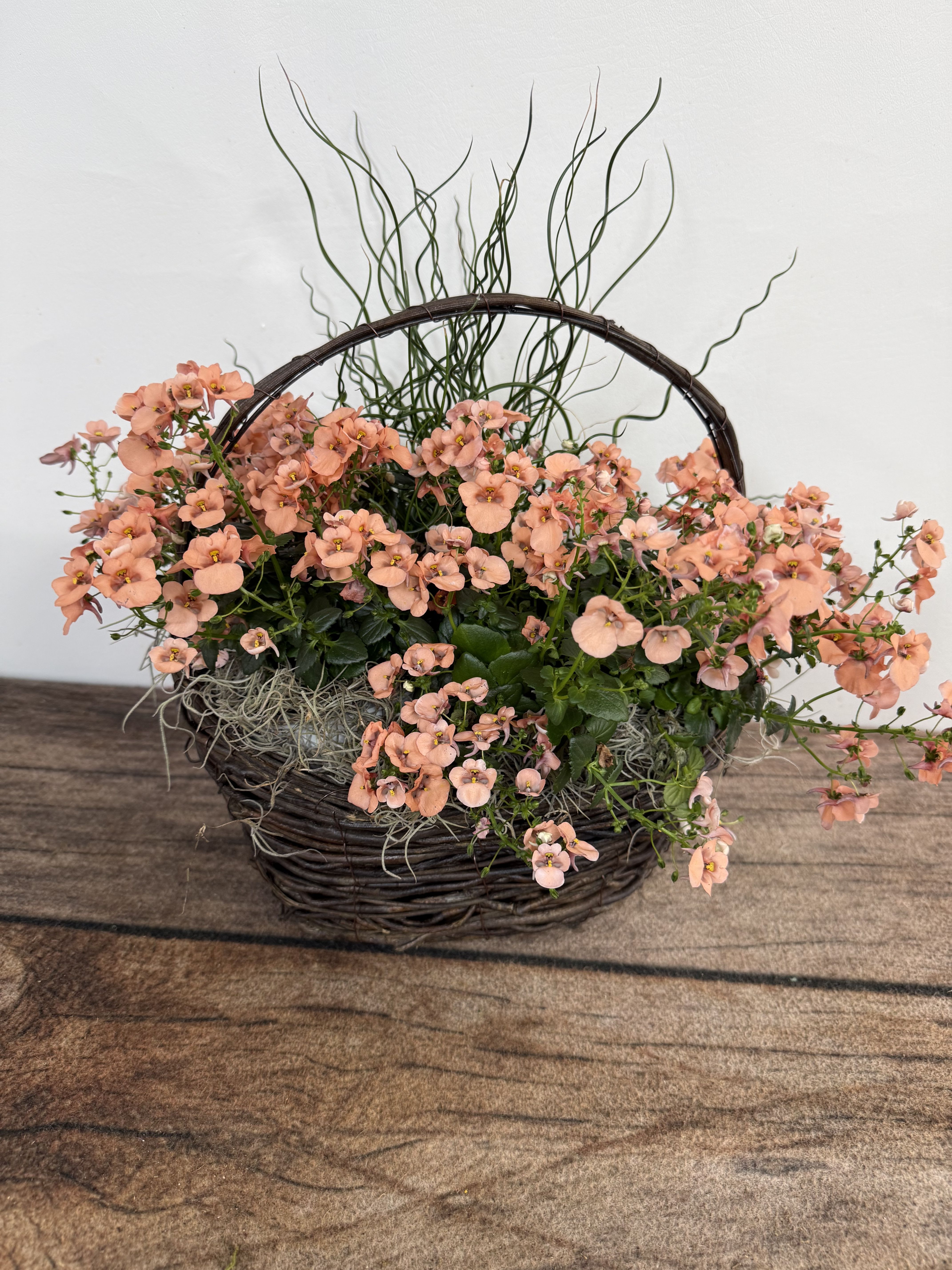 Annual Basket - Grapevine basket containing a mix of annual plants that can also be planted outside. Approx 12"x12"