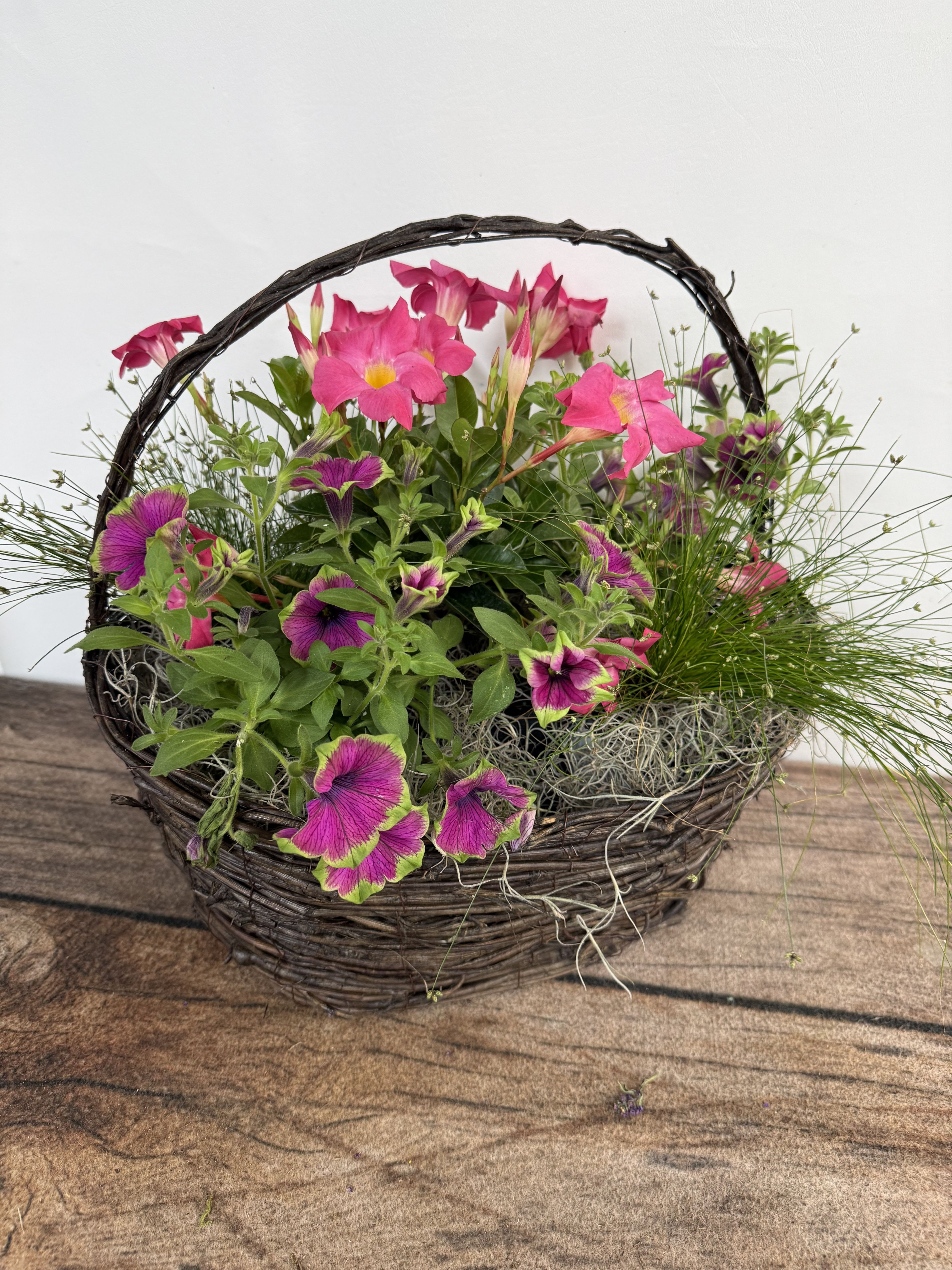 Annual Basket Large - Grapevine basket designed with mixed annual plants. Approx. 18"x18".