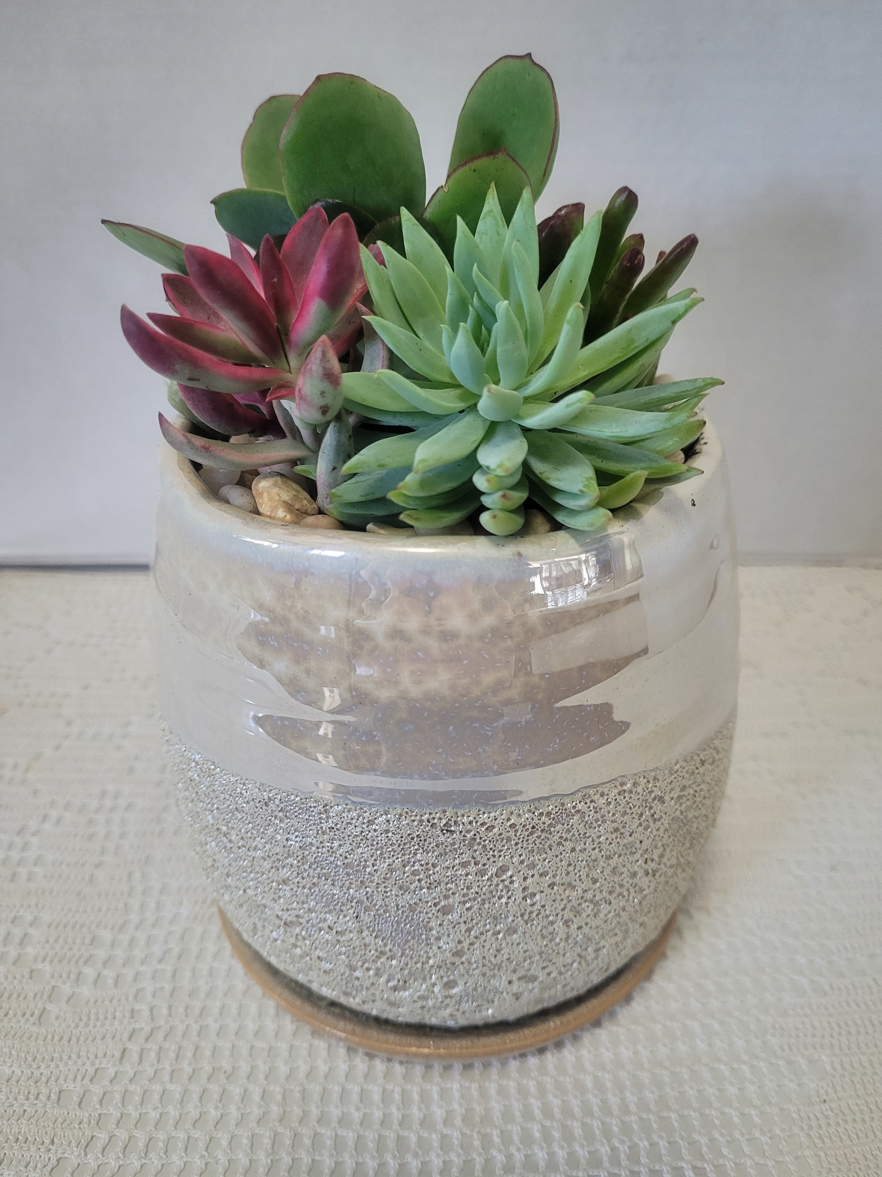 Ivory Container  - The translucent finish makes this a lovely container planted with succulents. It is an arrangement ideal for any occasion. 
