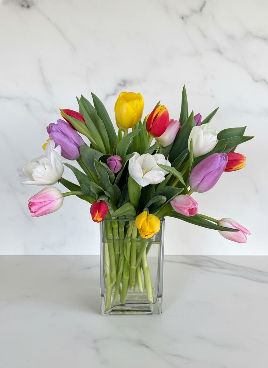 Market Tulips - A fresh, seasonal mix of premium tulips arranged in a modern glass vase. Designed with the best colors available at the market, each arrangement is unique—highlighting soft pastels, vibrant tones, or a balanced blend of both. Simple, elegant, and effortlessly beautiful, this is our everyday tulip vase with a polished, designer touch. Perfect for birthdays, thank yous, or just because. Tulip colors will vary based on seasonal availability. Trust us to create something beautiful.  