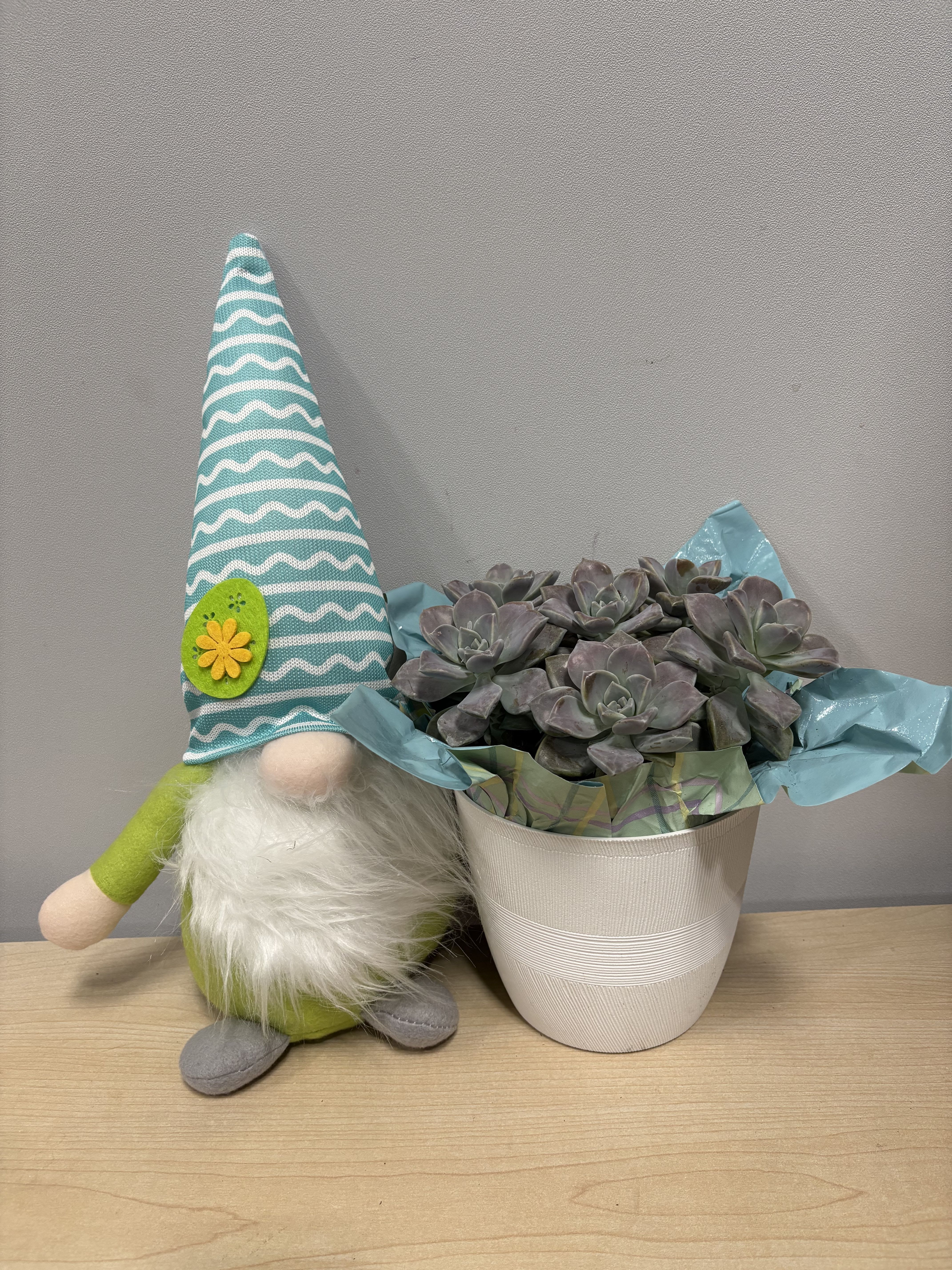 Daisy Gnome &amp; Succulents  - As shown 