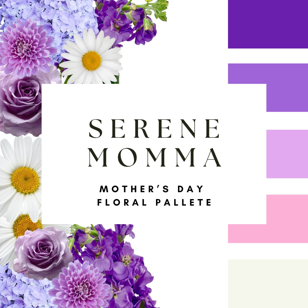 Serene Momma - This palette sets the tone—we’ll bring it to life. Our designers hand-select the freshest blooms available in these colors to create a one-of-a-kind bouquet. The flowers shown are examples of the palette, and each arrangement will be uniquely designed with the best of what’s in season.