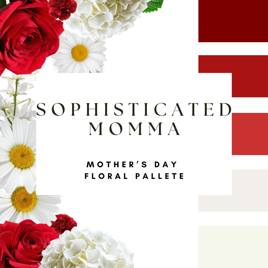 Sophisticated Momma - This palette sets the tone—we’ll bring it to life. Our designers hand-select the freshest blooms available in these colors to create a one-of-a-kind bouquet. The flowers shown are examples of the palette, and each arrangement will be uniquely designed with the best of what’s in season.