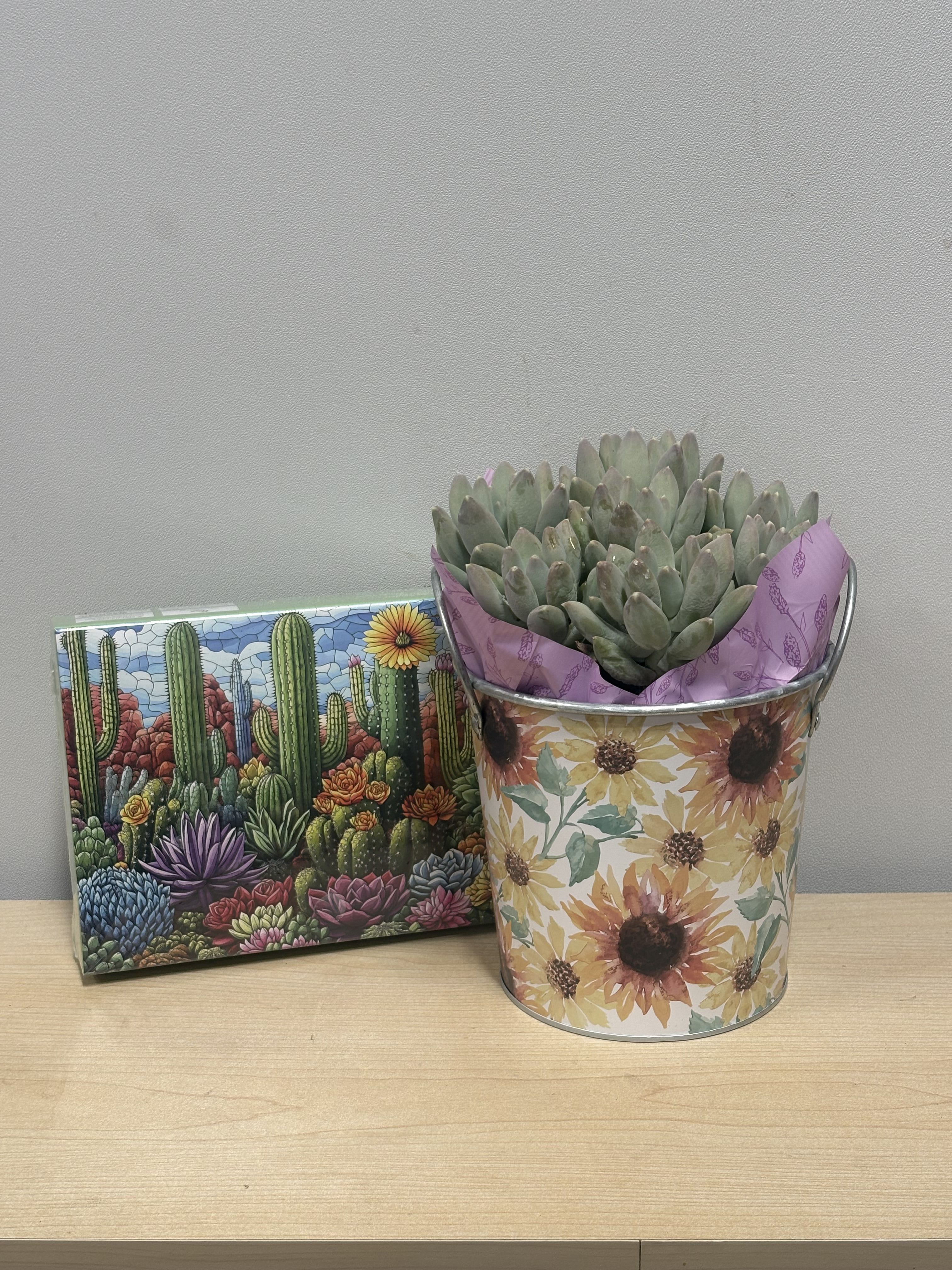 Sunny Succulent &amp; Puzzle - As shown 
