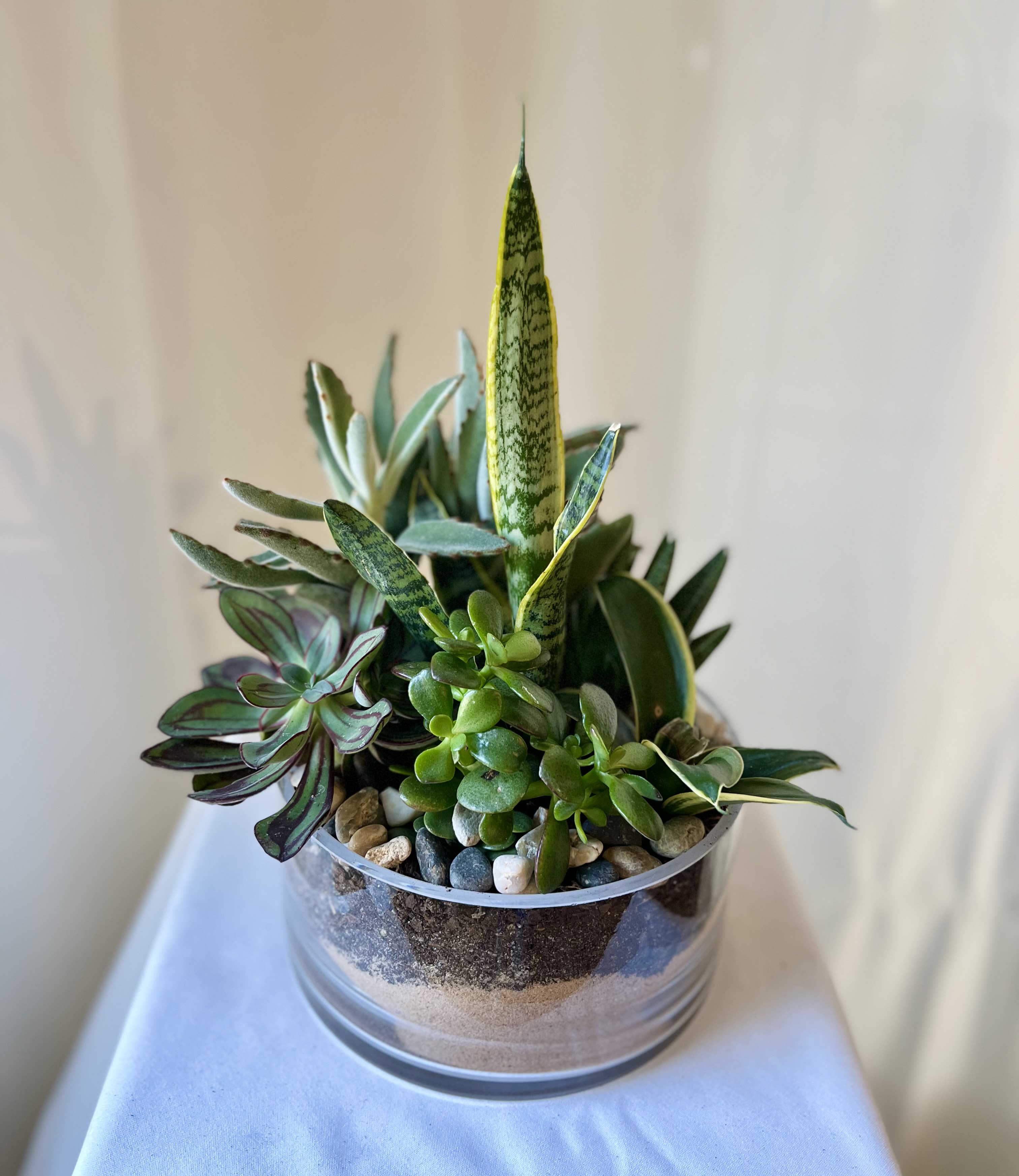 Succulent arrangement in a clear glass bowl with pebbles
