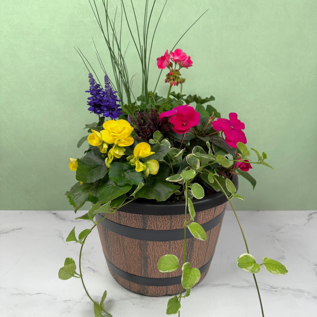 Outdoor Blooming Garden - Medium - A lively mix of potted flowering plants brings the colors of summer right to your own patio, perfect as a housewarming gift, Mother's Day present, or cheerful spring surprise. The planter features bright, vibrant blooms like geraniums and begonias, balanced with abundant foliage and smaller flowering plants, giving the recipient an instant sense of a garden tucked into a decorative pot. The overall composition reads lush and casual, with mixed plants and blooms designed to sit on a porch, picnic table, or patio to enjoy outside.  This arrangement is especially fitting for someone who prefers living plants to cut flowers. It keeps giving color and life to a yard or porch and makes the recipient feel seen and celebrated. Order as shown for easy gifting; place the pot where it receives bright, indirect light and water according to the plants' needs to maintain its cheerful, garden-style look.  NOTE: Some plants or colors may vary depending on availability.
