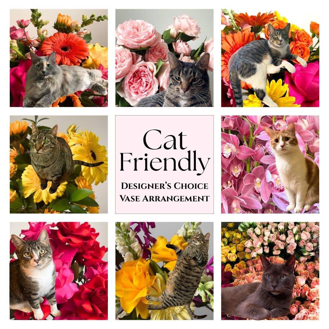 Cat Friendly Vase Arrangement- Designer's Choice  - Cats are the best! Trust us to create a unique cat friendly designer's choice vase arrangement. We select the best cat safe flowers that are in season and will design something in our Flora garden style. Cat friendly flowers are limited to gerbera daisies, sunflowers, orchids, snapdragons, roses and spray roses, limonium, stock, freesias, lisianthus, waxflower, and lemon leaf greens.   Delivery Info- We make all of our deliveries after 1pm every day. If the weather is very cold, we prefer not to leave the flowers outside. Please let the recipient know that they should expect delivery.