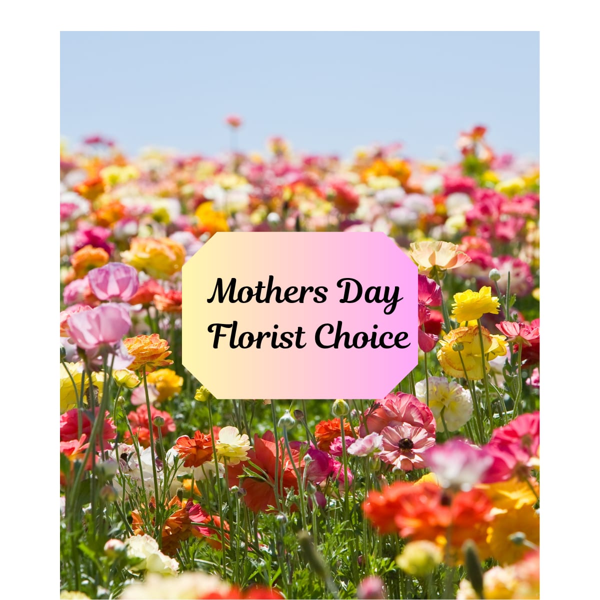 Mothers Day Florist Choice - Let our Designers create a one of a kind arrangment that will Wow your Mom. 