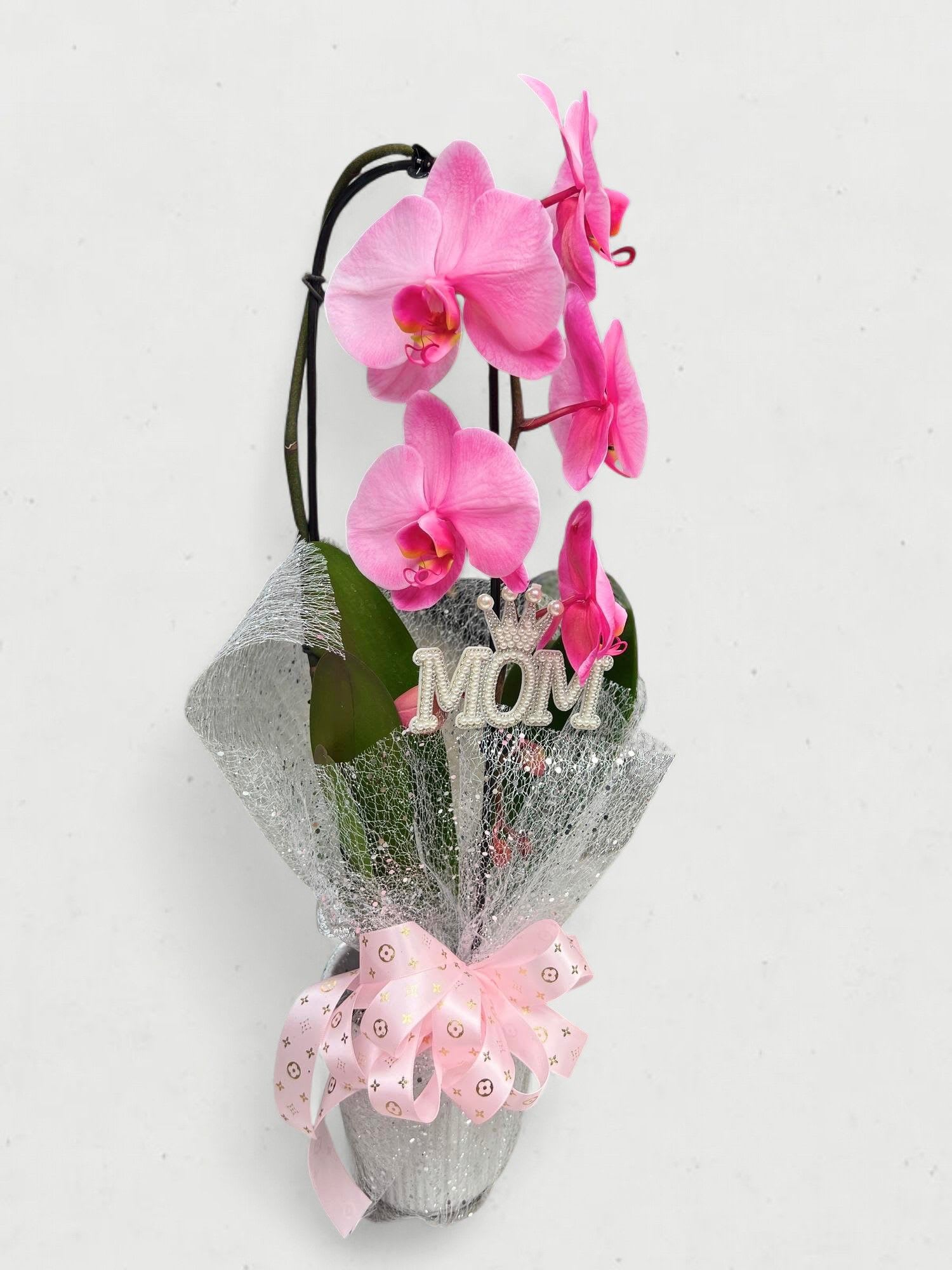 PHALAENOPSIS ORCHID PINK  - Clean white and vivid pink Phalaenopsis orchids rise on graceful arching stems to create an elegant, gift-ready orchid arrangement perfect for a birthday, Mother's Day, anniversary, or a heartfelt thank-you. The white blooms with pale yellow centers (and some unopened buds) or the bright pink spikes draw the eye upward for a refined, feminine look that makes the recipient feel celebrated and truly seen.  Each arrangement is presented in decorative wrapping-options shown include bright pink glittery mesh with a satin pink bow, white mesh with a pale pink ribbon and a jeweled "Mom" pick, or silver mesh finished with a large pale pink bow-mounted in a decorative pot or ceramic vase for easy display. Tall, upright stems make this an impressive mantel or console centerpiece; the orchids' smooth petals and arching form convey quiet luxury without fuss.  Ideal for the person who appreciates lasting blooms and polished presentation, this Phalaenopsis orchid arrangement sends a message of care and admiration for Mother's Day, graduation, or special celebrations. Place the pot where it can get bright, indirect light and water sparingly-these long-lasting orchids are a memorable gift that stays beautiful over time.