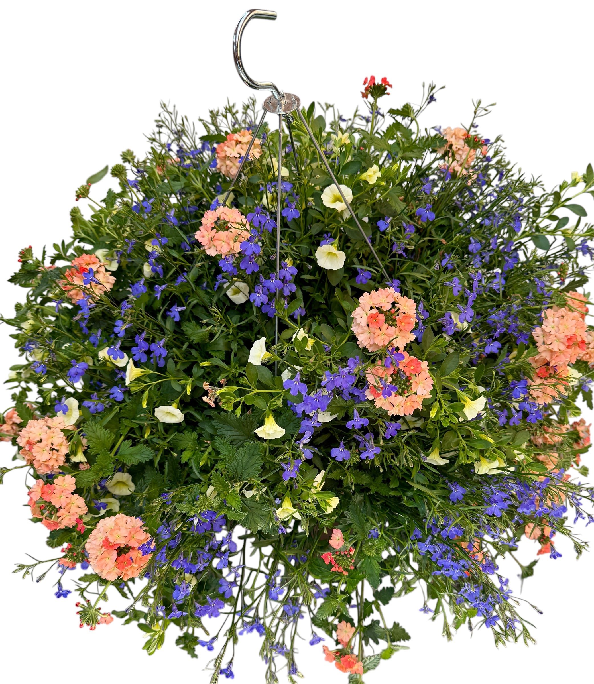 Mixed hanging basket with blue, peach, and cream flowers on cascading foliage with a metal hook