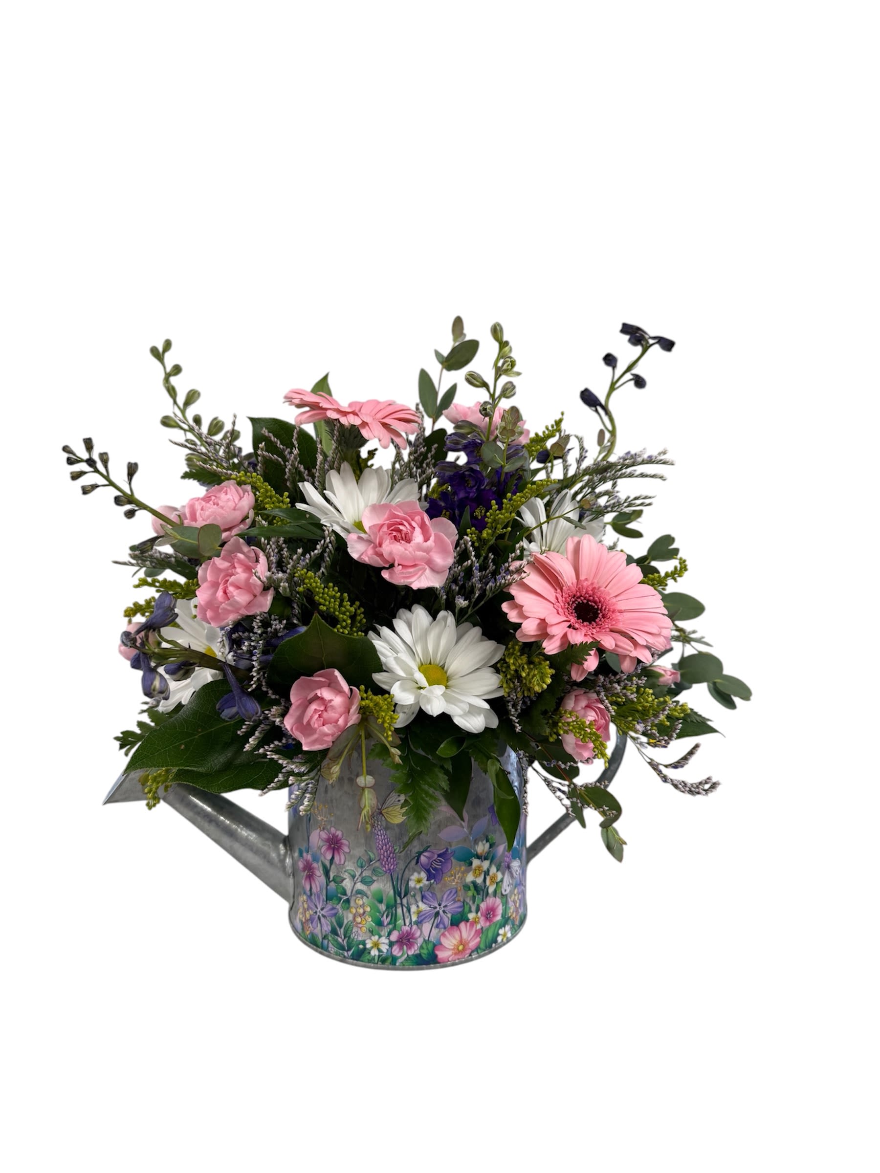 Springtime Flutter - A bright cluster of pink gerbera daisies and soft carnations makes this springtime flower arrangement feel like a sunlit garden moment - perfect as a spring bouquet or casual birthday gift. The mix of white daisies and small purple accent blooms lifts the palette so the person you're thinking of will feel cheered and noticed, whether you're celebrating a birthday, saying thank you, or simply brightening someone's day. Arranged in a decorative metal watering can, the design is full yet airy, with stems and sprigs extending outward for a freshly picked look. 
