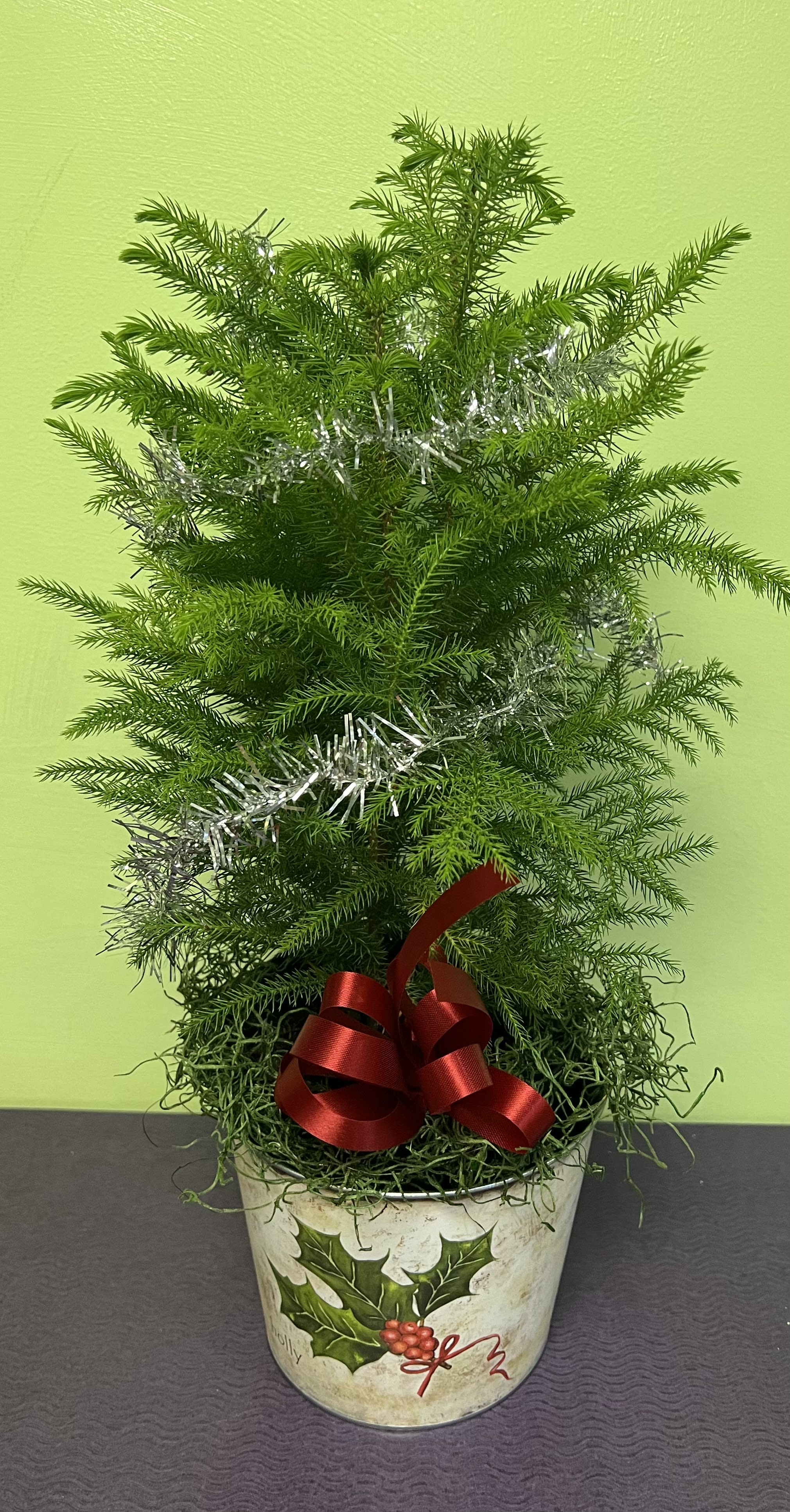 A Special Christmas Tree - This is an adorable foot and a half tall tree that is perfect for the holiday season. You can place it on the table and make it a special type of centerpiece. 