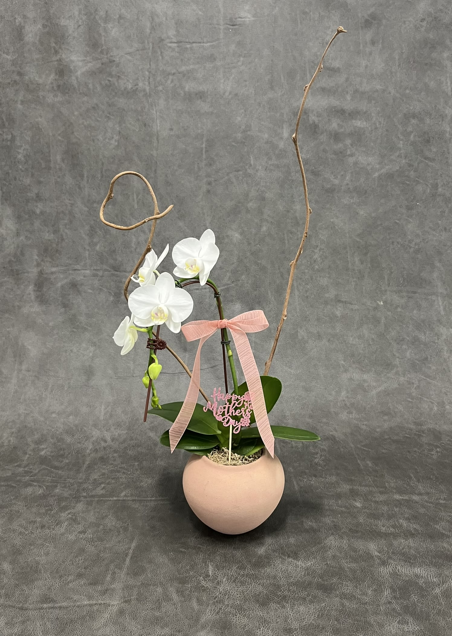 Mother's Day Artistic Zen Orchid Design - Cascading white Phalaenopsis orchids bring quiet elegance to any room - a refined flower arrangement perfect as a Mother's Day gift, anniversary surprise, or a graceful get-well token. The sculptural stems and pristine white blooms create a calm, celebratory impression that makes the recipient feel noticed and cherished, whether you're marking a birthday, saying thank you, or sending sympathy.  Set in a soft blush round ceramic pot, the orchid is paired with glossy green leaves, succulents, moss and natural twisted branch stakes for height and texture. A pale pink ribbon and a decorative Mother's Day tag/plant pick finish the composition, and support stakes keep the long curved stems upright. Compact and gift-ready, this arrangement suits spring and summer décor as easily as a table centerpiece through the holidays.  Ideal for the person who appreciates lasting beauty, this potted orchid requires minimal care-bright, indirect light and moderate watering to keep roots healthy-making it a thoughtful present for new parents, grads, colleagues, or someone you simply want to brighten. Advance ordering recommended for seasonal holidays like Mother's Day, Thanksgiving or Christmas to ensure availability.