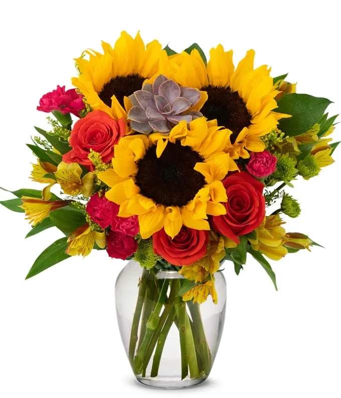 Sunshine Mom Bouquet - Bright, sunlit sunflowers steal the show in this flower arrangement, a cheerful bouquet perfect for a birthday, Mother's Day, or a just-because moment when you want her to feel celebrated. The arrangement is built as a lively birthday bouquet and congratulations gift-its bold yellow and red palette reads joyful and confident, while the mix of pink and purple tones keeps the look warm and affectionate for moms, friends, or anyone you want to uplift.  This design clusters large yellow sunflowers with deep red roses, bright pink carnations, and yellow alstroemeria for high-contrast color and layered texture. A small lavender-toned succulent nestles near the center as an unexpected, tactile accent. Stems are presented in a clear glass vase that showcases the long lines and keeps the display clean and modern; the overall effect is energetic, seasonal, and full of personality.  Choose this arrangement for someone who loves vibrant color and a sunny mood-she'll feel noticed and genuinely cheered. Vase dimensions and stem lengths are visible in the display (clear glass shows stems), and simple care-fresh water and a cool spot away from direct heat-will keep the blooms bright for days. Order with a personalized note to make this a thoughtful, memorable gift.