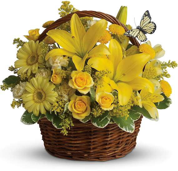 BASKET FULL OF WISHES - A-tisket, a-tasket, a happy yellow basket! A cheerful gift basket for birthdays or anytime you want to send sunshine, it nearly overflows with big lilies, gerberas and roses. A pretty butterfly floats over the basket, reminiscent of a summer picnic.  