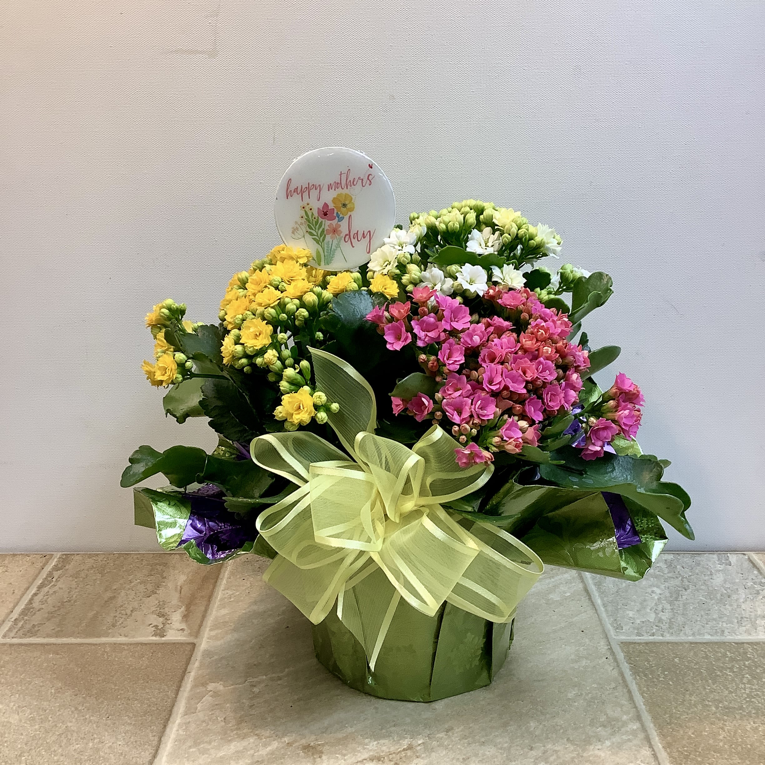 Calandiva Plant, tri-color - An easy to grow colorful plant that’s perfect for bringing long-lasting indoor cheer. Tucked among the blooms is a decorative pick that reads “Happy Mother’s Day” making it a lovely gift for anyone’s favorite Mom. It measures 12” wide x 12” tall.