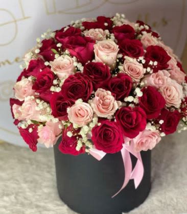 Elegant Rose in Round Box -  Pet Friendly? NO While roses themselves are non-toxic, the thorns can cause physical injury to curious household pets. Additionally, Baby’s Breath can cause mild gastrointestinal upset if ingested by cats or dogs. Keep out of reach; avoid homes with curious cats that like to nibble on airy fillers.    Human Allergy Note No major allergy-triggering flowers noted. As a practical caution, keep the arrangement in a well-ventilated area to enjoy the natural fragrance comfortably.   Care &amp; Longevity Because these blooms are tucked into a gift box, they are typically hydrated by floral foam. To keep them fresh, check the moisture level daily and add a small amount of water to the center of the box, being careful not to wet the cardboard. Avoid direct sun, heat, or drafty vents, and gently remove any fading blooms to help the others last longer.    Best Occasions &amp; Situations  Anniversary surprise  Elegant birthday gift  Romantic congratulations  Proposal backdrop  “Just because” romance  Professional thank you  Why Customers Love It Modern presentation in a keepsake gift box. Sophisticated color balance between bold red and soft pink. Gift-ready design that requires no trimming or vase-hunting by the recipient. Dense, high-end feel that looks impressive from every angle.