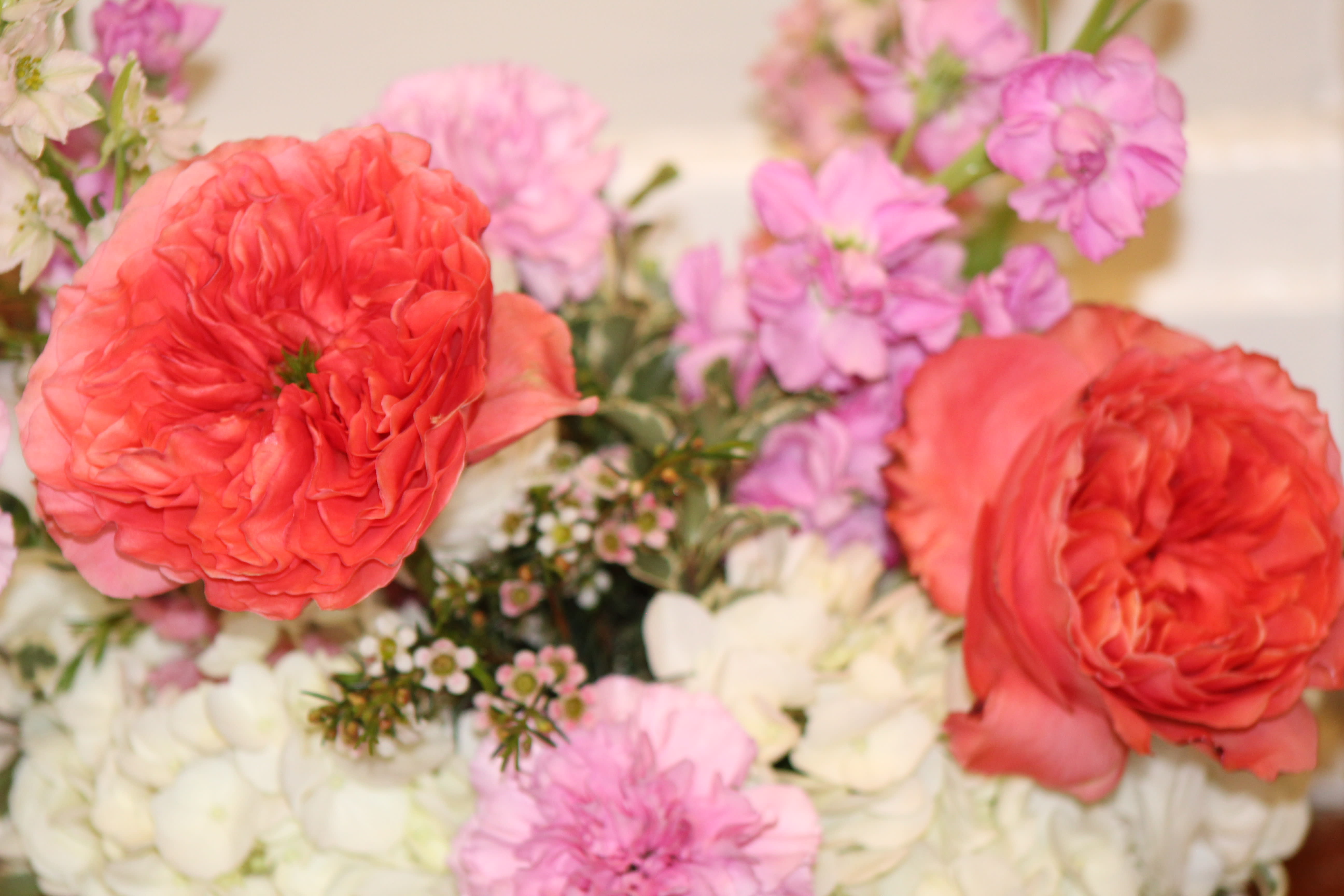 Coral and pink flowers arranged with white blooms in a soft bouquet