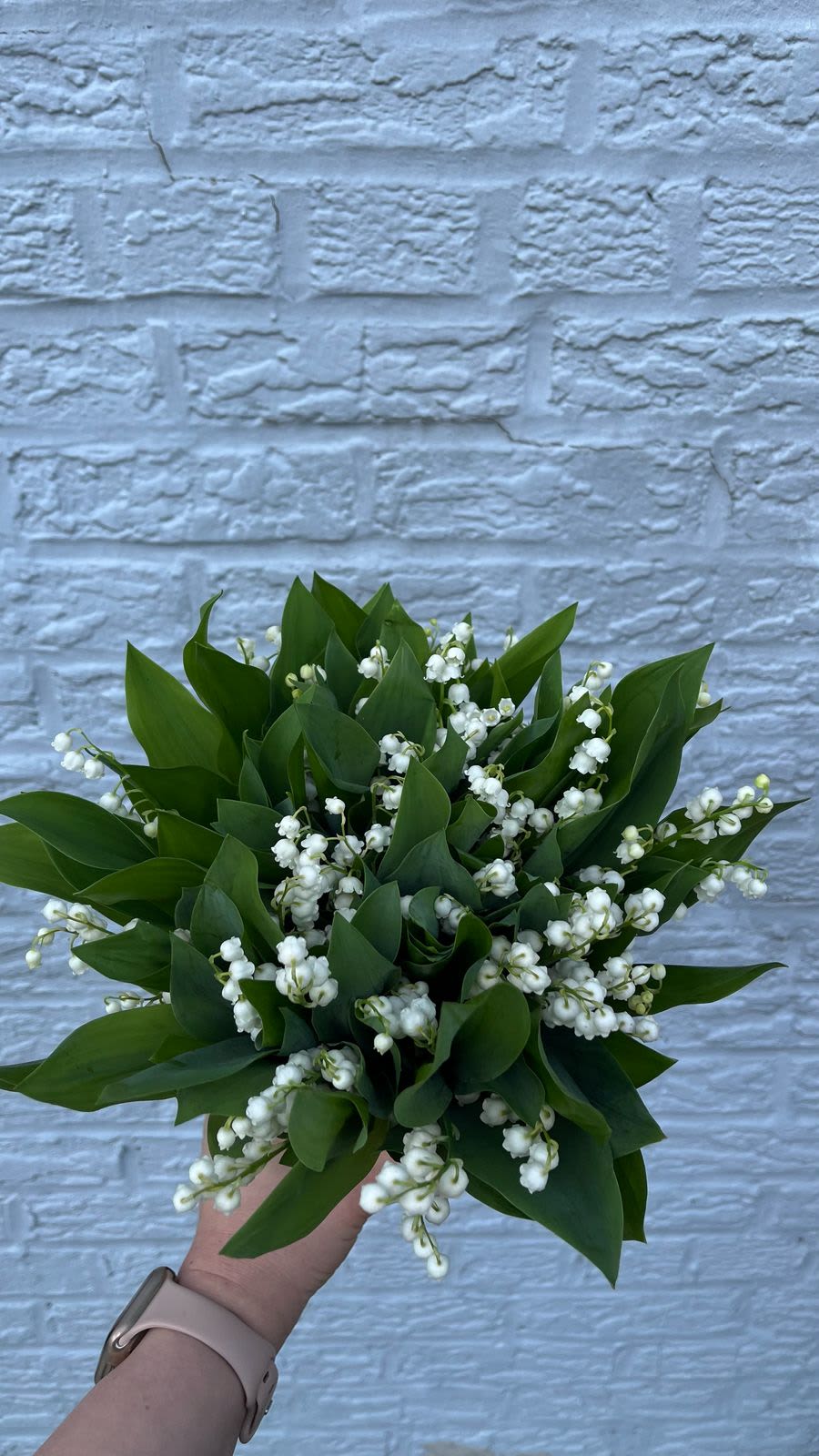 Handheld bouquet of white lily of the valley and green leaves