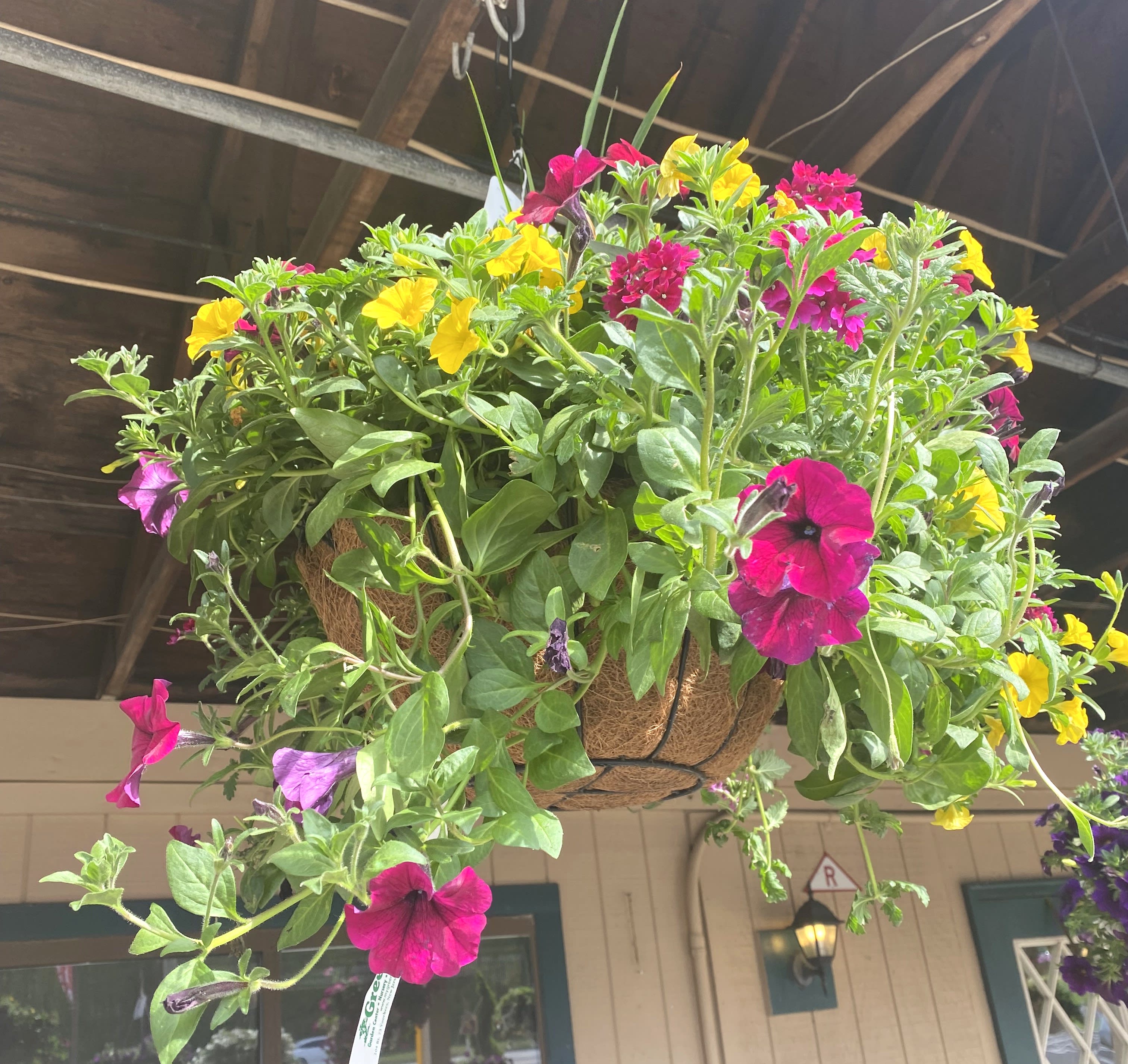 Hanging basket of pink and yellow petunias
