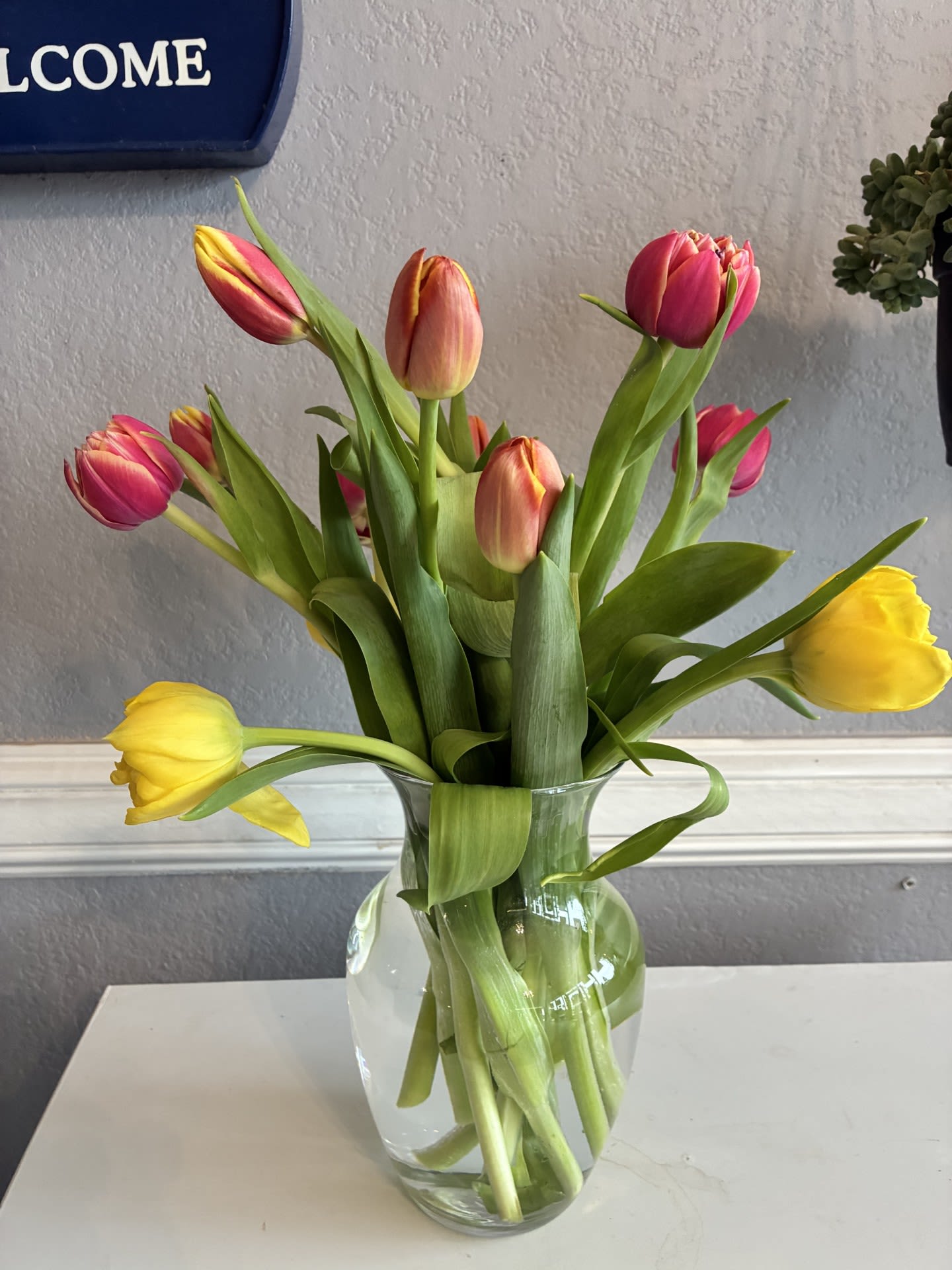 Tulips - 12 Tulips assorted colors 