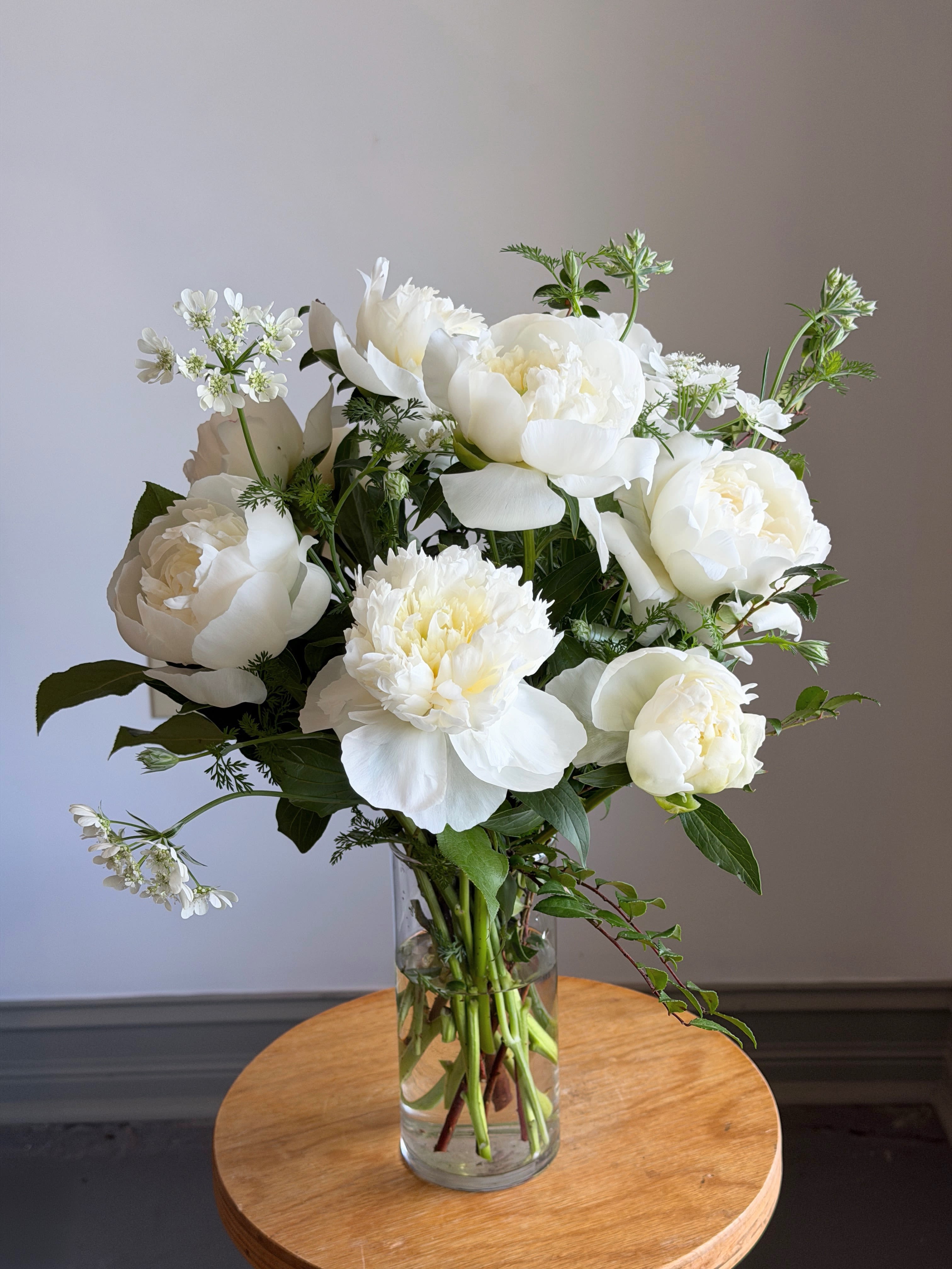 Peony by the Dozen - Spring's fleeting bloom is here but just for a short time! The iconic peony comes in shades of pink, white and coral. It's intoxicating scent is sought after by fragrance companies that never quite match the original. Get or give a dozen (or two) peony to enjoy while they are here.   All of our flowers are seasonal, locally sourced and American grown. This allows you to receive the freshest flowers possible for a longer lasting bouquet or arrangement. Each bouquet or arrangement produced is unique to the season and may contain different flowers than what are listed here. 