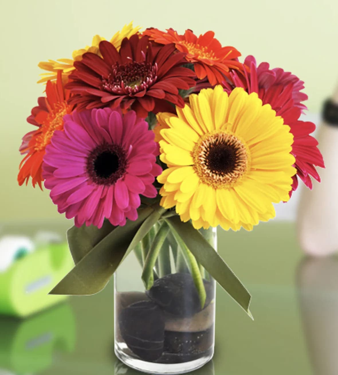 Bright gerbera daisies in a clear glass vase with a ribbon bow