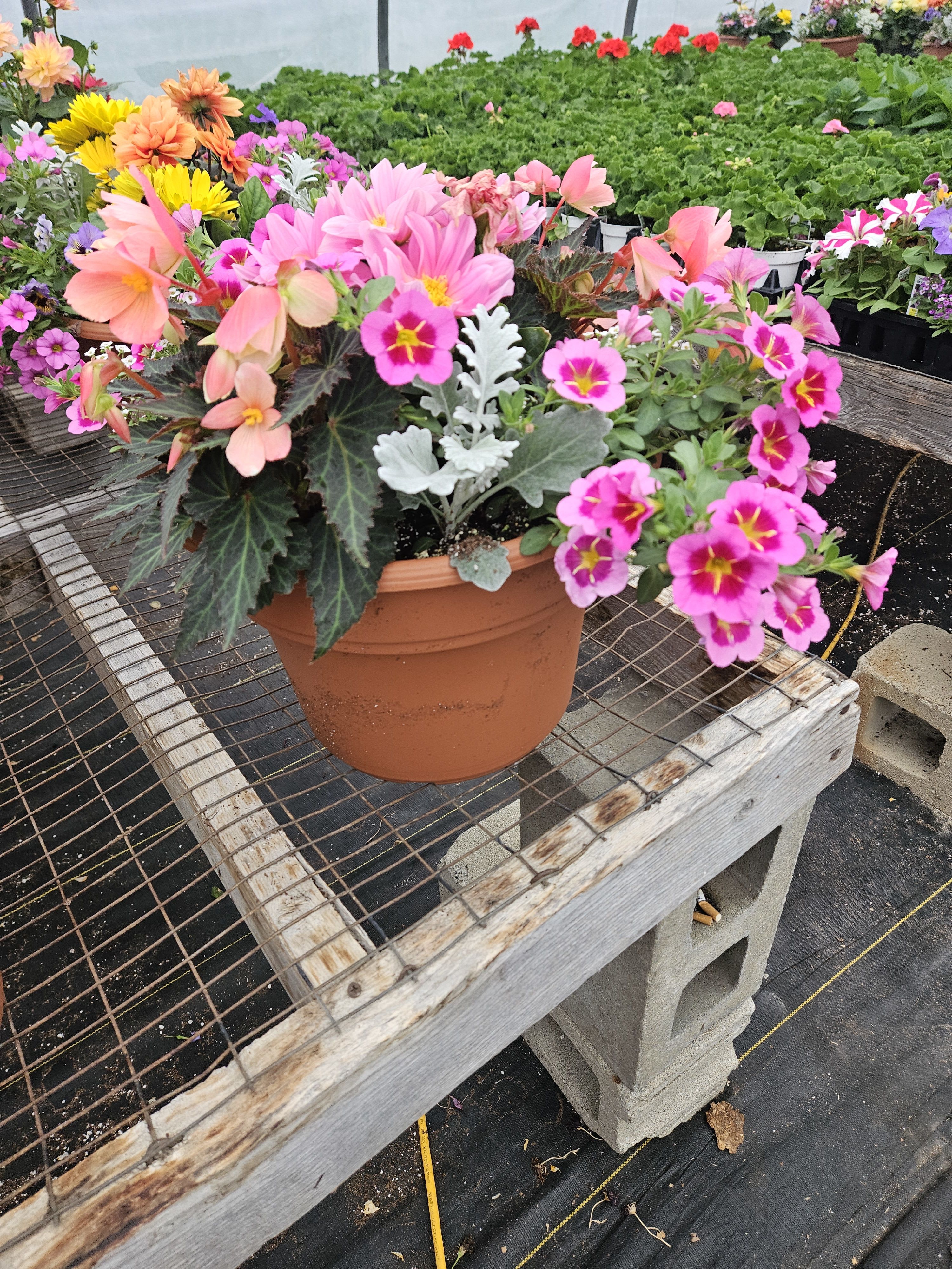 Outdooor patio Planter Designers choice - Designer chioce outdoor patio planter 