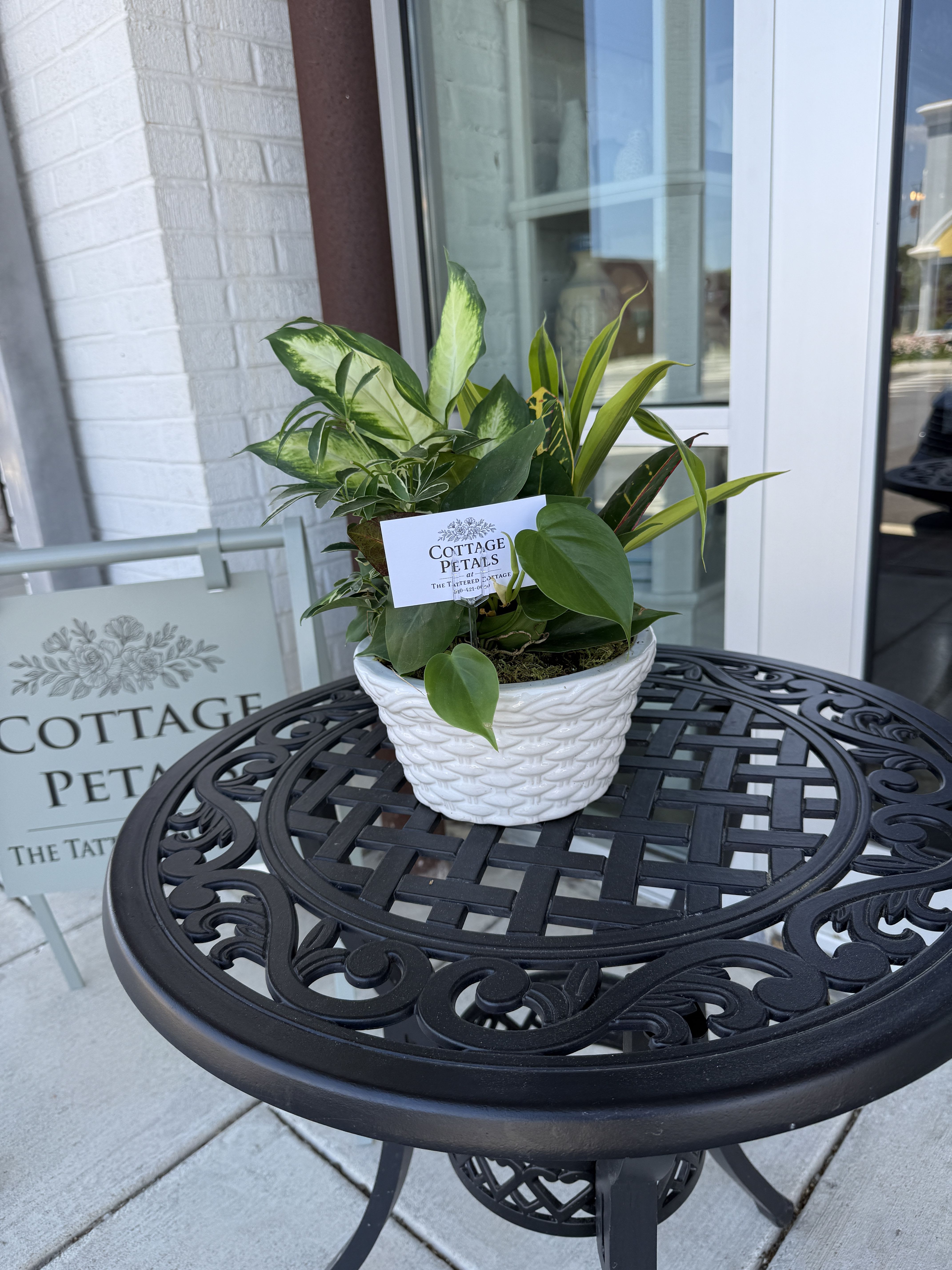 Dish Gardens - A small but meaningful way to show you care—send this garden dish to someone you love and remind them they’re never far from your thoughts. Whether it’s placed in a garden, on a porch, or by their front door, it’s a gentle, lasting reminder of your love and the simple beauty of being thought of. Perfect for any occasion or just because, it’s a gift that speaks from the heart without saying a word. Every vessel will be different. 