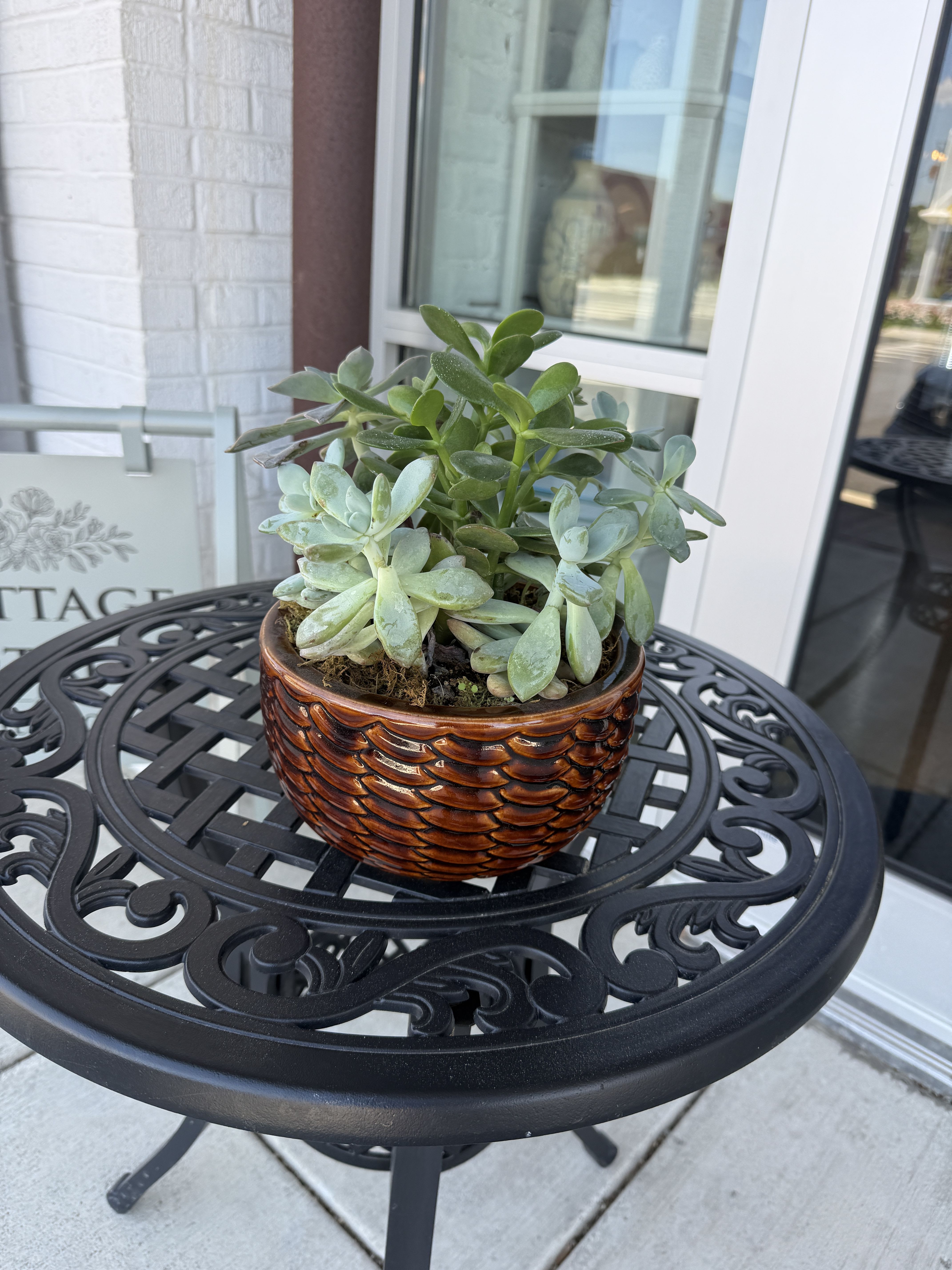 Succulent Garden - A small but meaningful way to show you care—send this succulent garden to someone you love and remind them they’re never far from your thoughts. Easy to care for and full of natural beauty, it’s a lasting gift that continues to grow, just like your love. Whether placed on a windowsill, desk, or porch, it serves as a gentle reminder that they’re thought of every day. Perfect for any occasion or simply just because, it’s a heartfelt gift that speaks without saying a word. Every Vessel will be different.