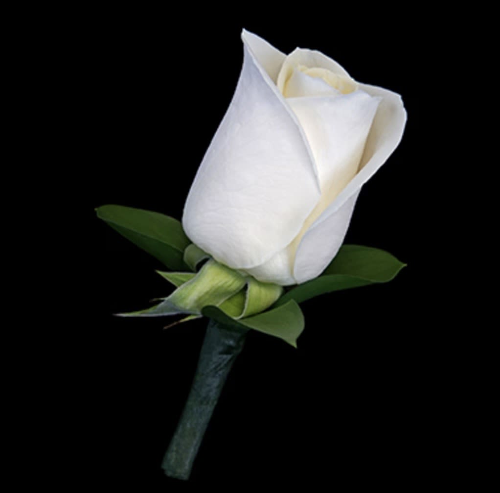 Boutonniere - Men's rose boutonniere, flanked with greens. Lapel pins provided. Unless color preference is specified in special instructions at checkout, item will be made in ivory. THIS ITEM IS PICK UP ONLY