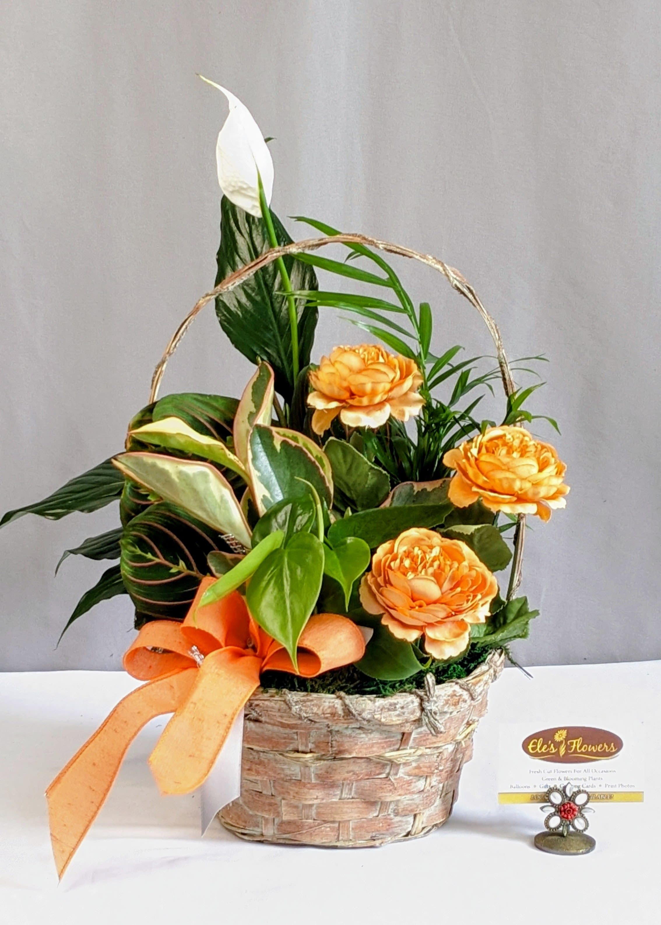 Classic Dish Garden w/flowers - 8" Basket - This thoughtfully designed dish garden is nestled in a natural woven basket and filled with a soothing mix of lush green plants. Full of life and quiet beauty, it’s a meaningful way to offer comfort, peace, and support during times of sympathy or remembrance. Long-lasting and easy to care for, this living planter brings a gentle sense of calm and a lasting reminder of care to any space.  All dish gardens are very easy care - only requiring bright indirect light. We include all care instructions to keep them looking their best. Over time the plants can be transplanted into separate containers as they grow.  Approximately 5 plants per basket.  Approximate Dimensions: 19"H x 15"W