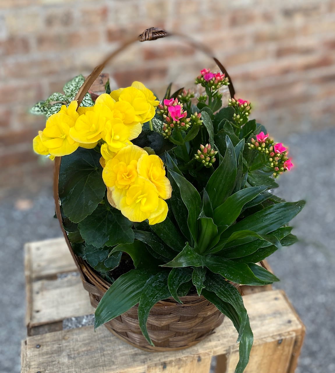 Basket of yellow flowers and pink blooms with dark green foliage