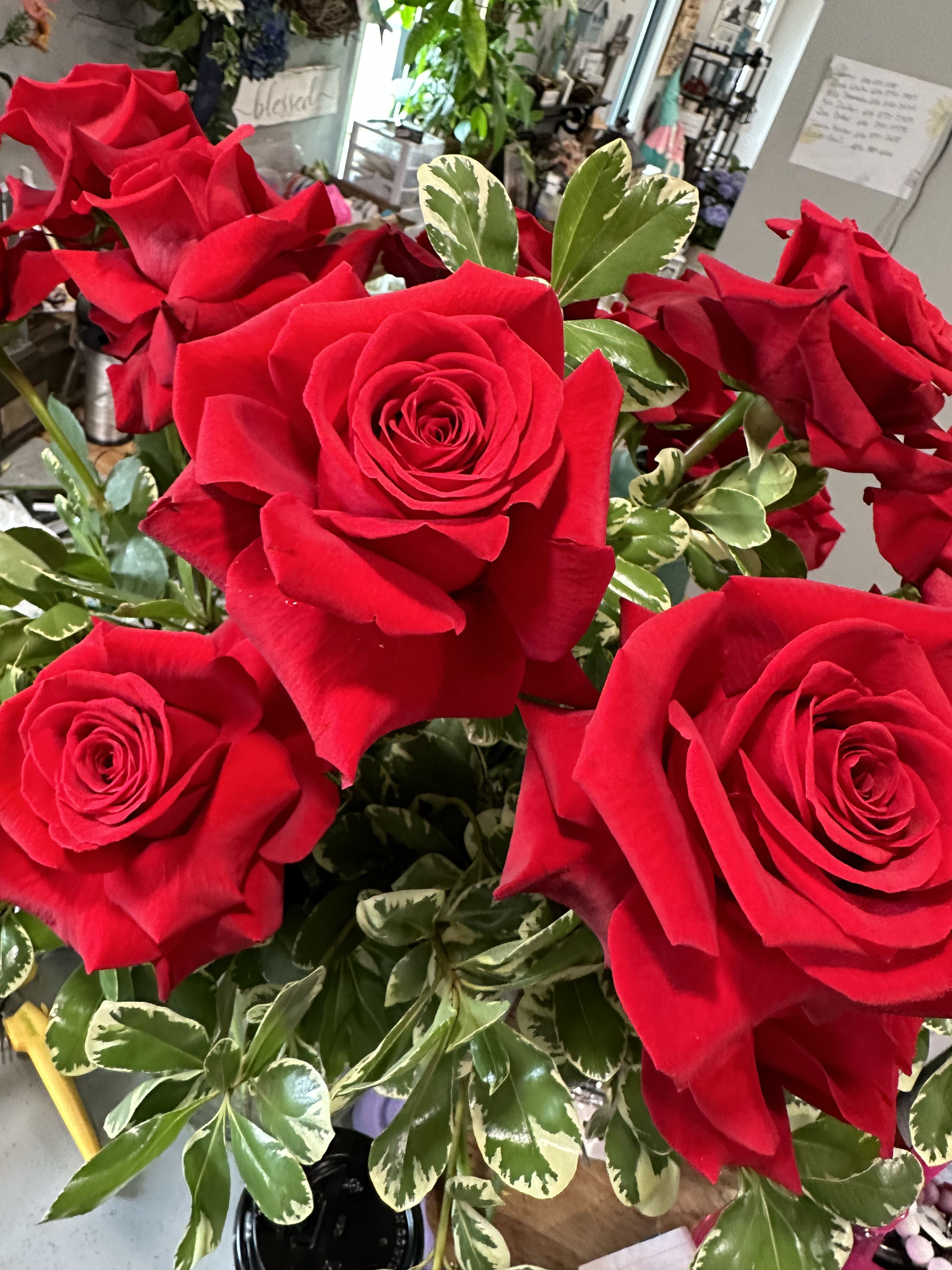 Bouquet of red roses with variegated green-and-cream foliage