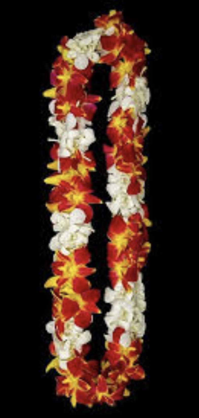 Red, white, and yellow flower lei on a black background