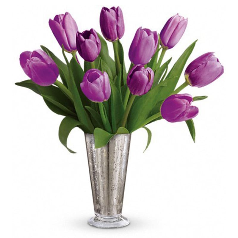 Tantalizing Tulips Bouquet [TEV23-8A] - Vintage romance. Yesterday, today, tomorrow - your love is as timeless as these long-stemmed purple tulips arranged in a shimmering mercury glass vase.  Includes ten purple tulips. Delivered in a large Mercury Glass Julep.  Approximately 13" W x 14 1/2" H  Orientation: All-Around  STANDARD (SHOWN): 10 TULIPS DELUXE:  15 TULIPS PREMIUM:  20 TULIPS