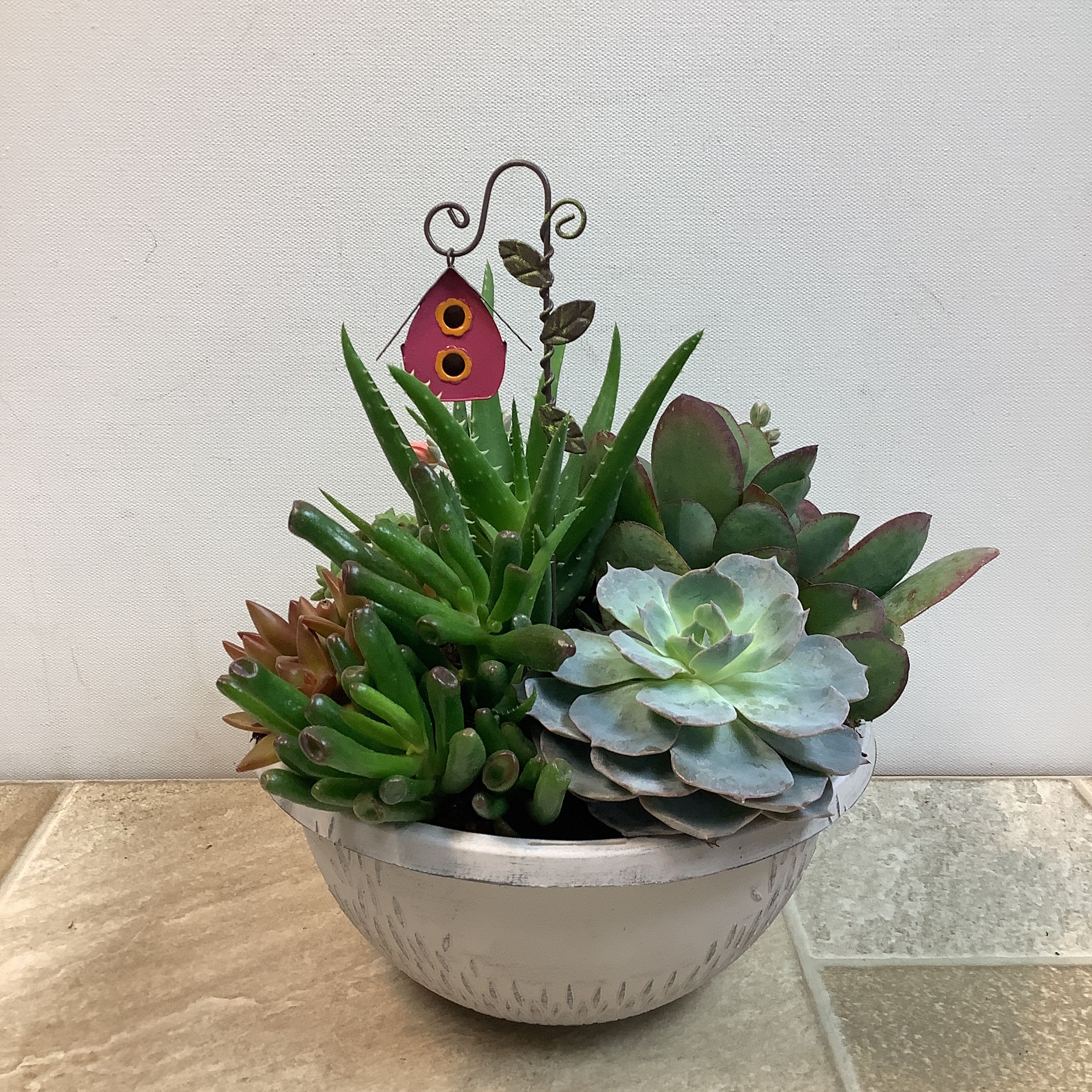 Succulent Gem - A beautiful little tabletop succulent garden that’s easy to grow. Just give it a sunny location and an occasional sip of water. A miniature birdhouse tops off this special gift. It measures 10” wide x 10” tall. 