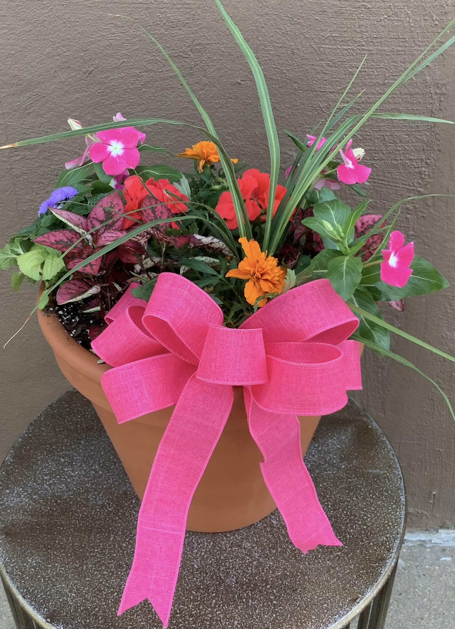 Large patio pot - Bright vivid annuals and geraniums in a terra-cotta pot