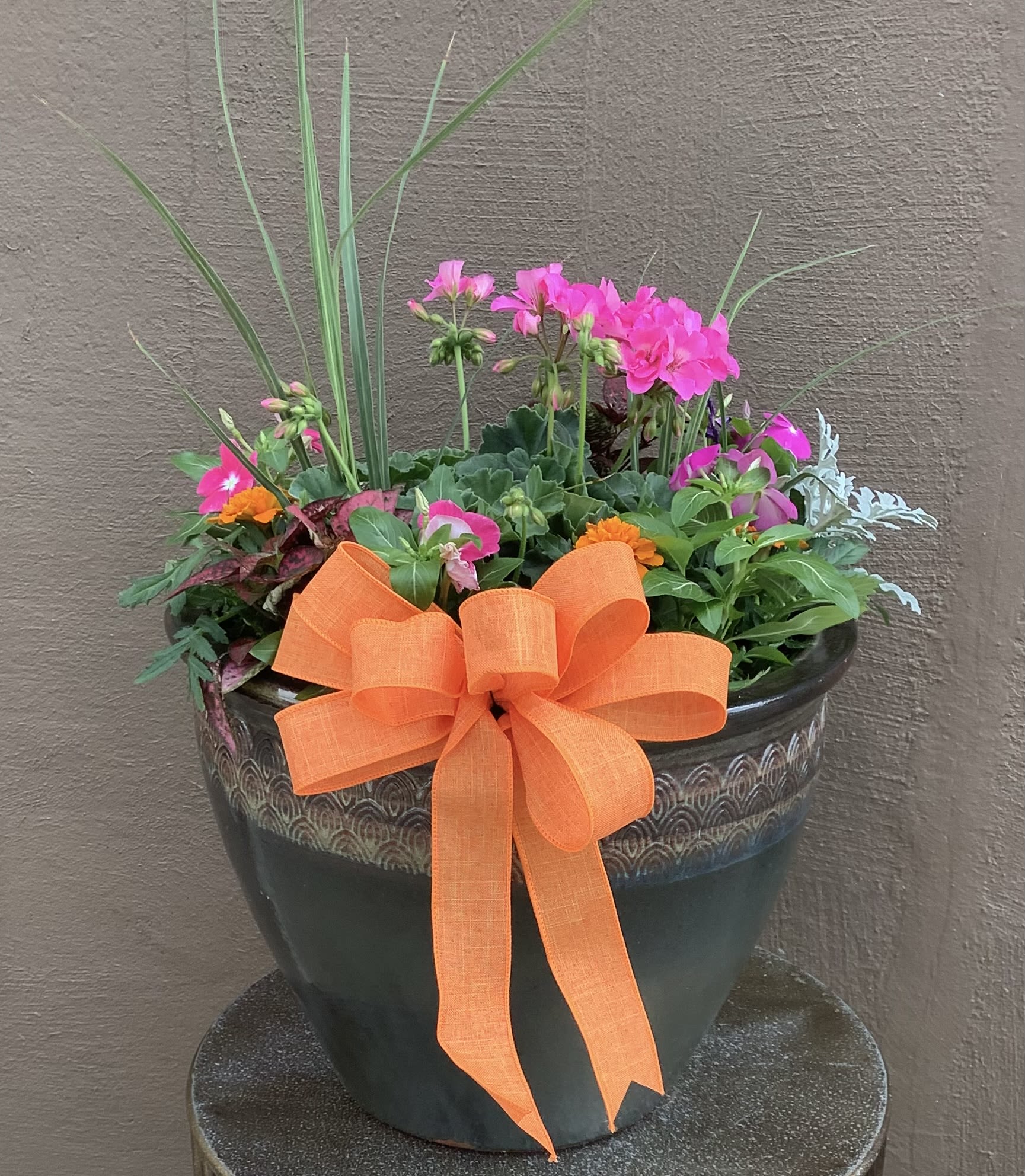 Large Glazed patio pot - 14 inch glazed pot with assorted geraniums and annuals