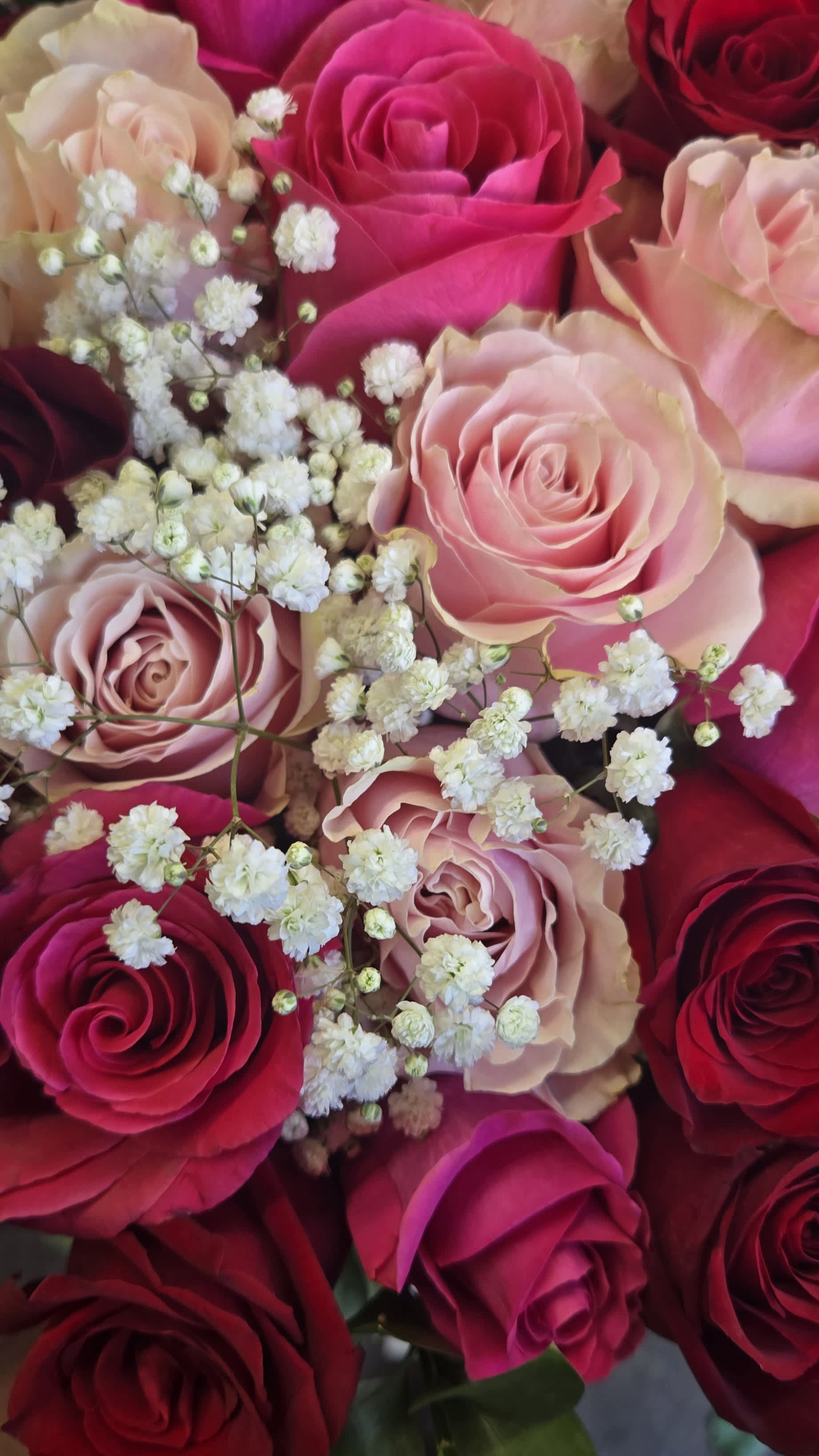 Close-up bouquet of pink and red roses with white baby's breath