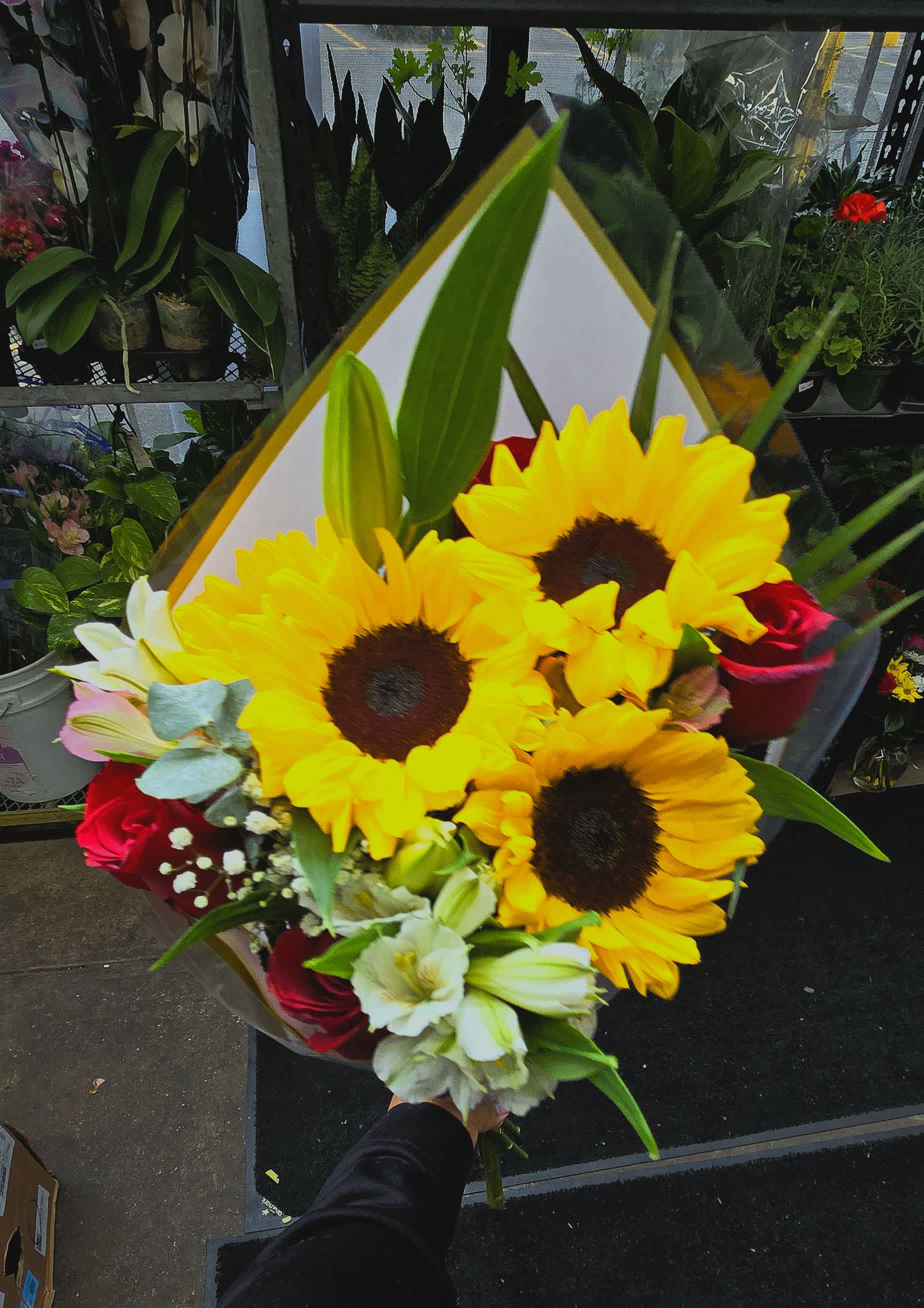 Bouquet of sunflowers, red roses, and white lilies wrapped in clear paper