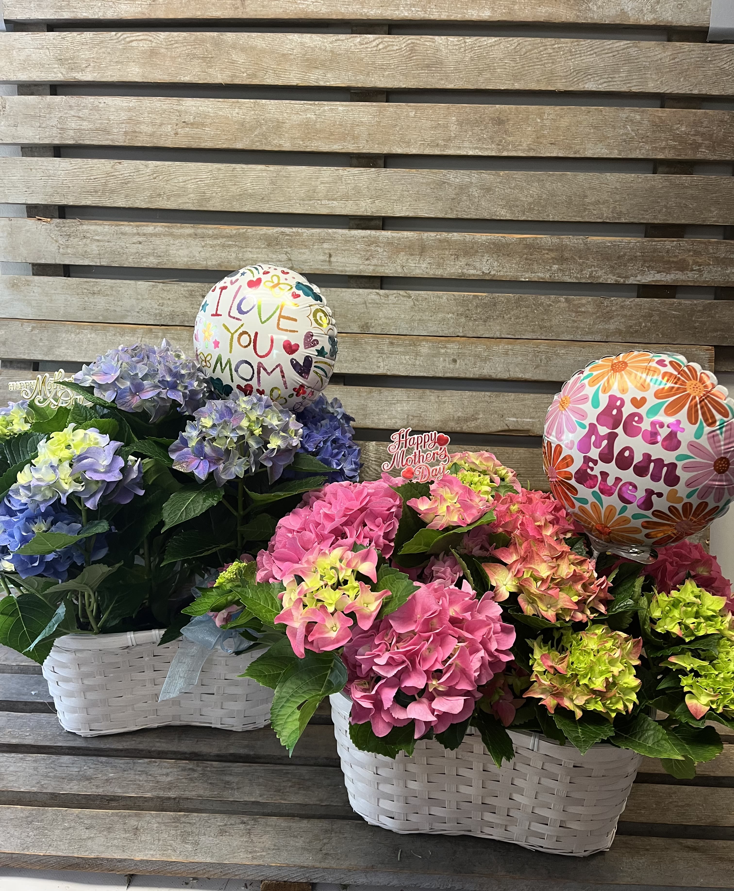 Hydrangea blooming basket ( pink or blue)  - Peanut basket with 2 6 in hydrangea plants in either pink or blue. Includes a Mother’s Day stick Mylar 