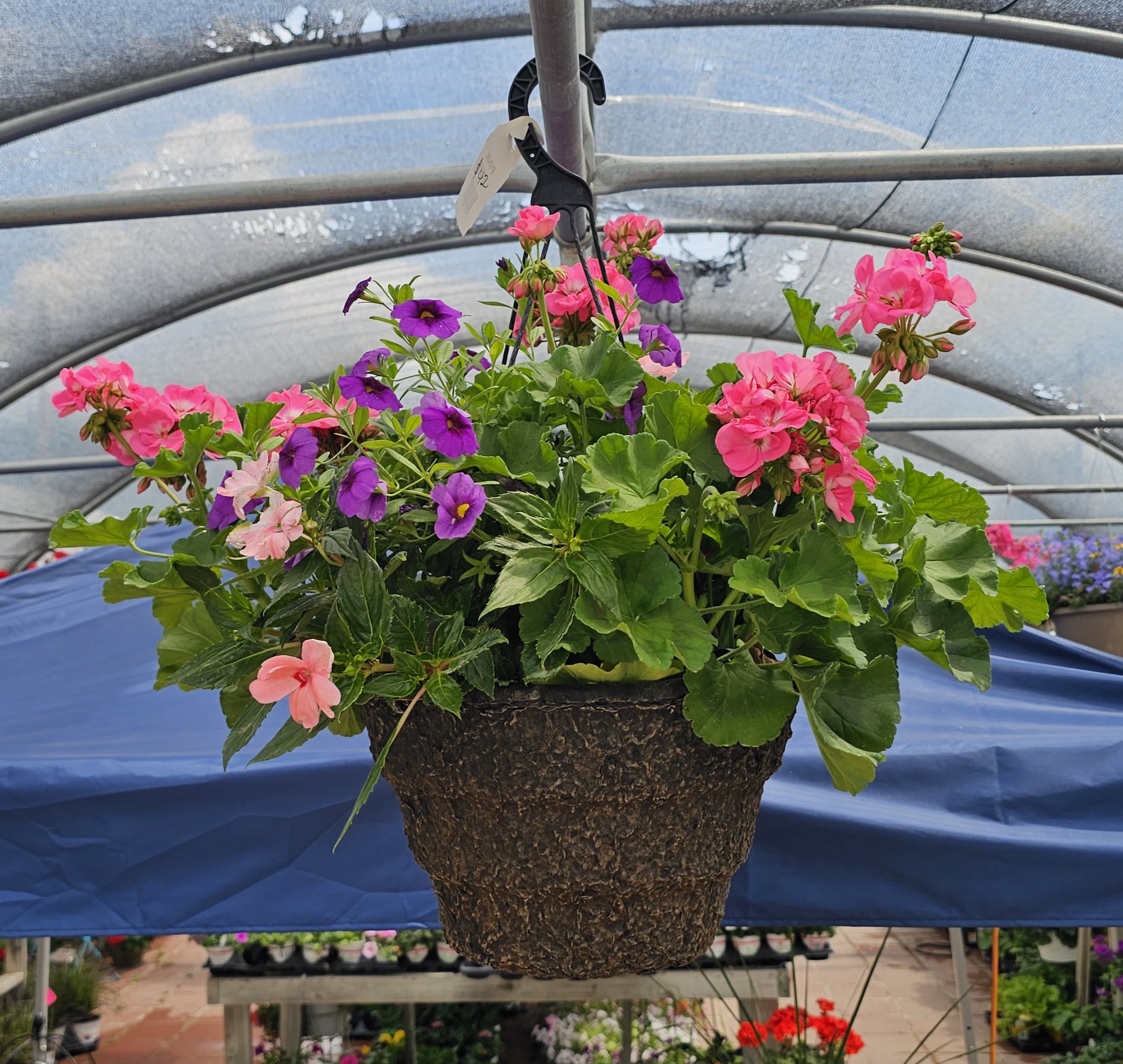 Hanging Bakset - A hanging basket prefect to hang by your front door! 