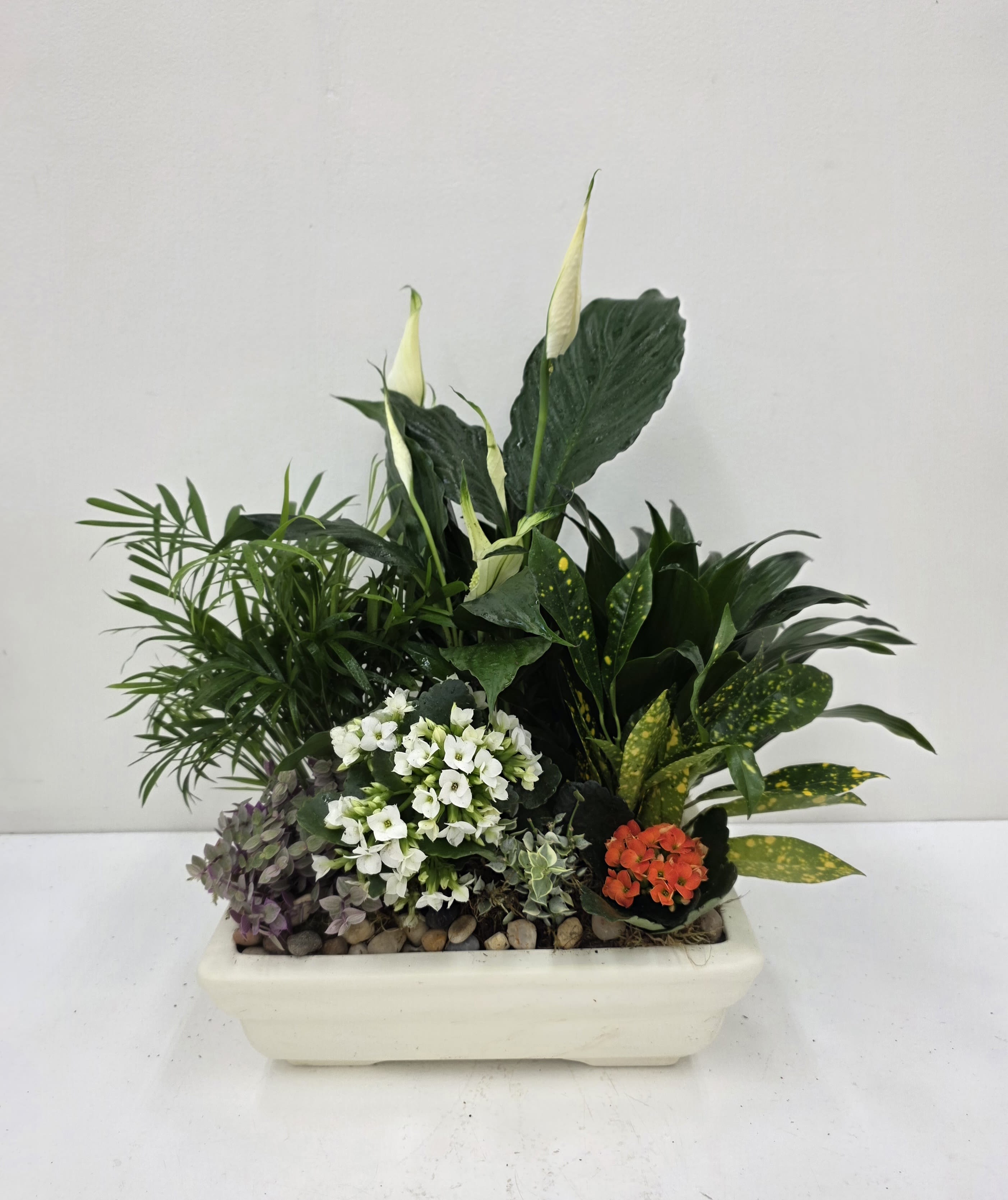 Ceramic Dishgarden - A lush, compact indoor planter that brings the feel of a tropical corner to any room-perfect as a housewarming gift, a Mother's Day surprise, or a thoughtful just-because arrangement. This ceramic dishgarden pairs dense mixed green foliage with clusters of tiny white flowers and a single bright orange bloom for a pop of color, all arranged in a low rectangular ceramic planter that sits neatly on a table or windowsill.  Tall upright leaves rise from the center while trailing and mounded plants fill the edges, creating a layered, structured composition with a rich, textural look. Decorative pebbles top the soil for a finished, low-maintenance presentation; colors include vibrant greens, crisp white, warm orange, and subtle purple accents. Ideal for birthdays, retirements, thank-you gestures, or simply letting someone know you're thinking of them, this dishgarden offers long-lasting enjoyment and easy care-water sparingly and keep in bright, indirect light for best results.