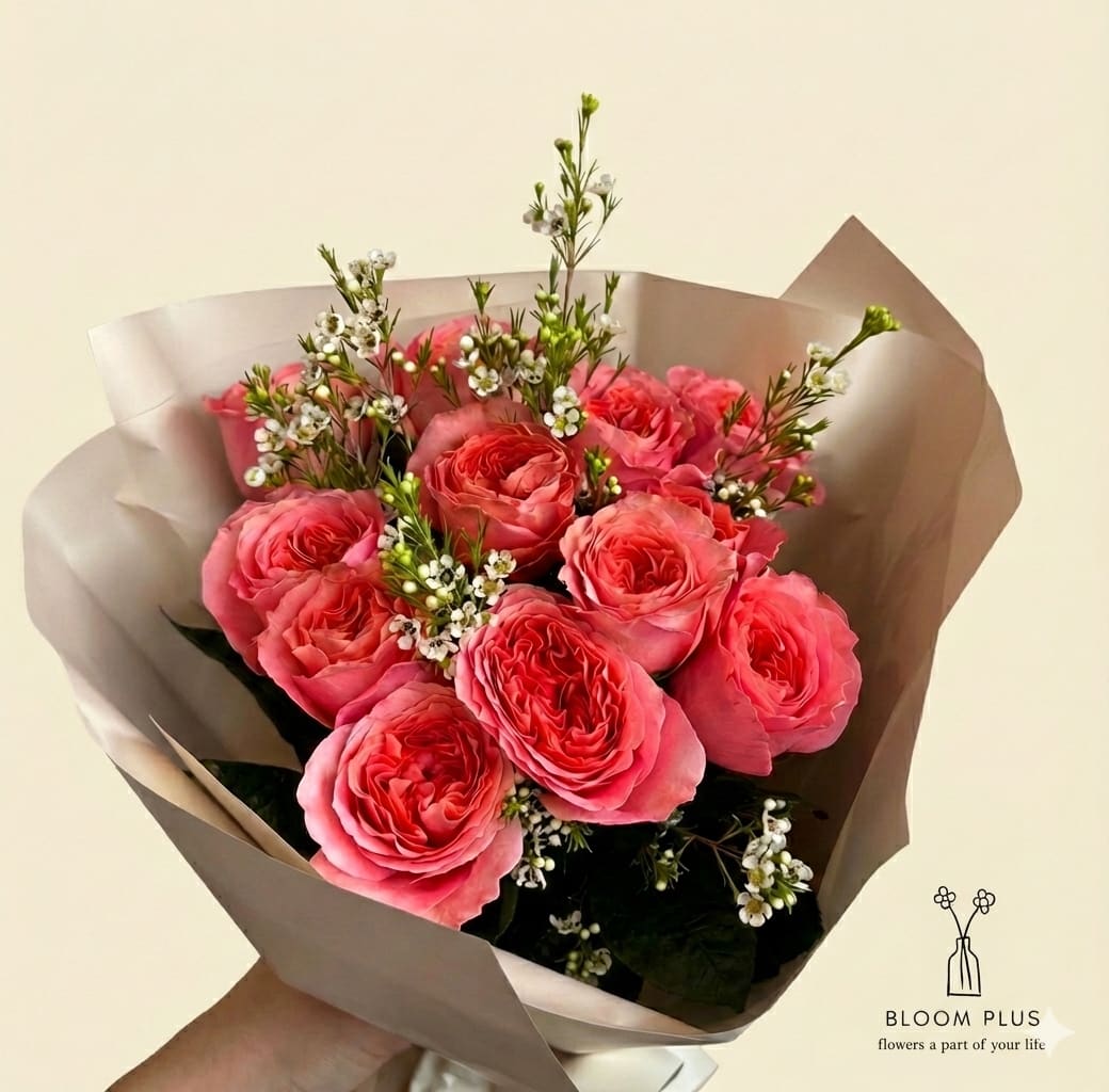 Pink rose bouquet with small white filler flowers in paper wrap