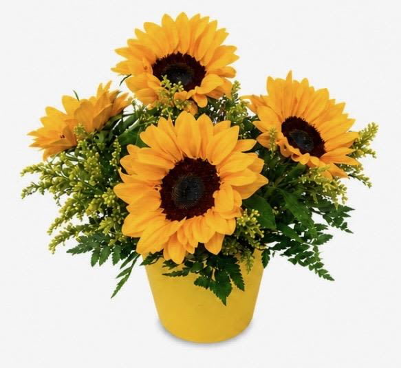 Sunny Sunflowers - 4 beautiful sunflowers in a yellow flower pot