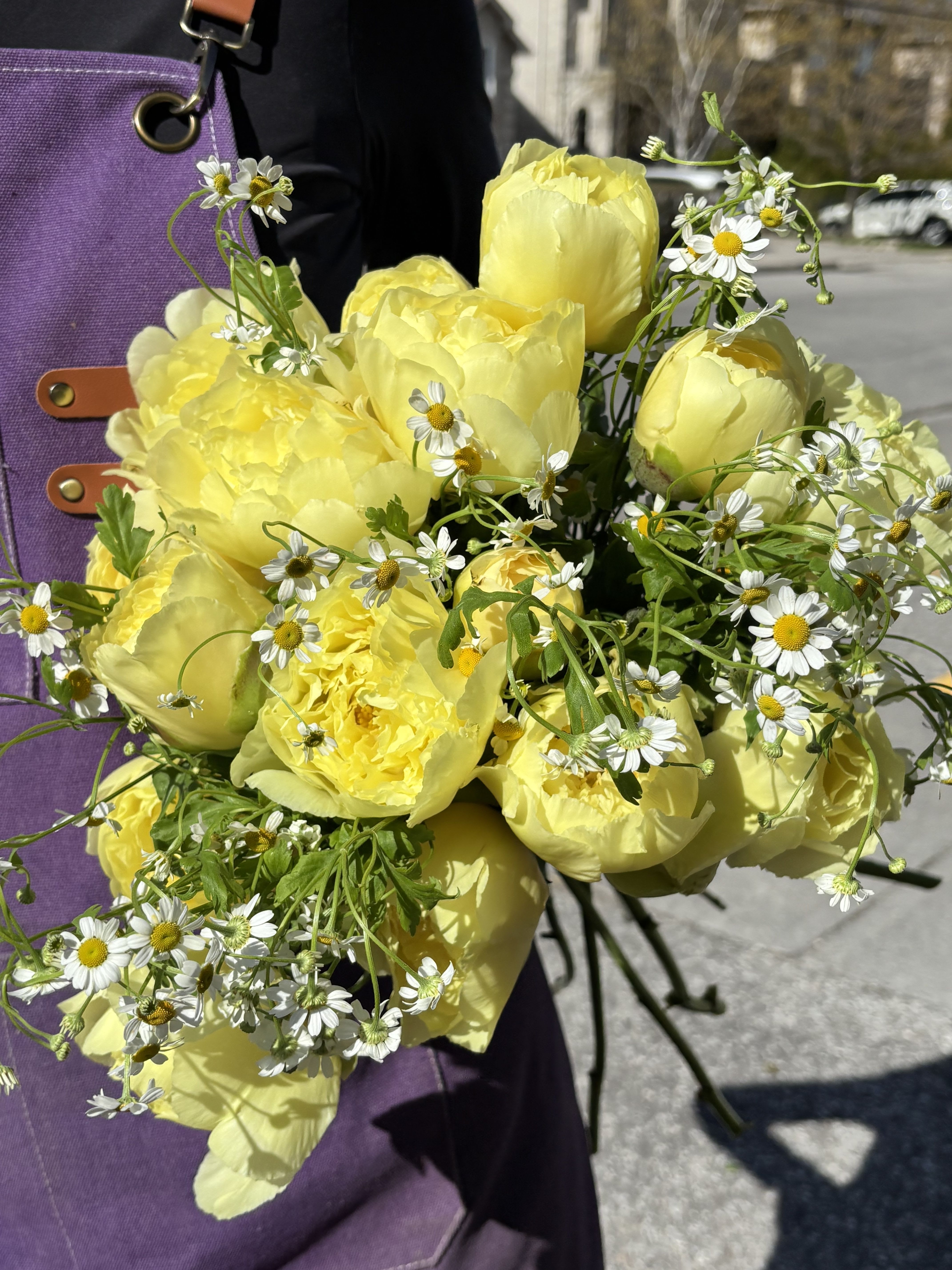 BP119 - Yellow Peony Bouquet - It features a striking and luxurious gathering of peonies and green. Bold, lush, and beautifully wrapped, it’s the ideal gesture for celebrating life's most beautiful moments.  Featured Blooms &amp; Seasonality:  Peonies: Peak late Spring through early Summer.